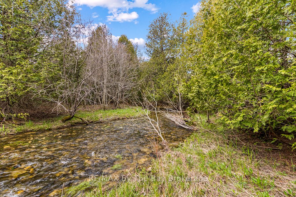 353814 Osprey Artemesia Townline, Grey Highlands, ON N0C 1J0 photo 5