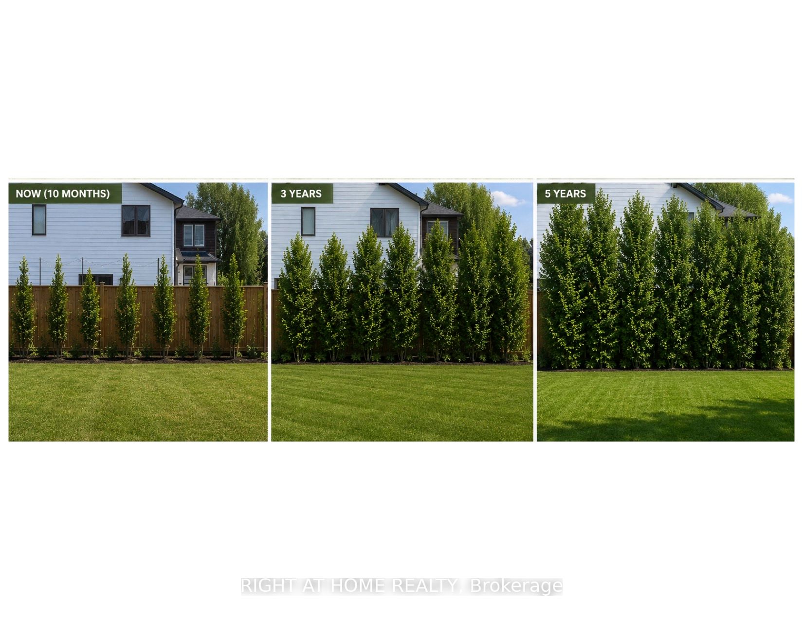 325 Manhattan Drive, London South, ON N6K 0L5 photo 3