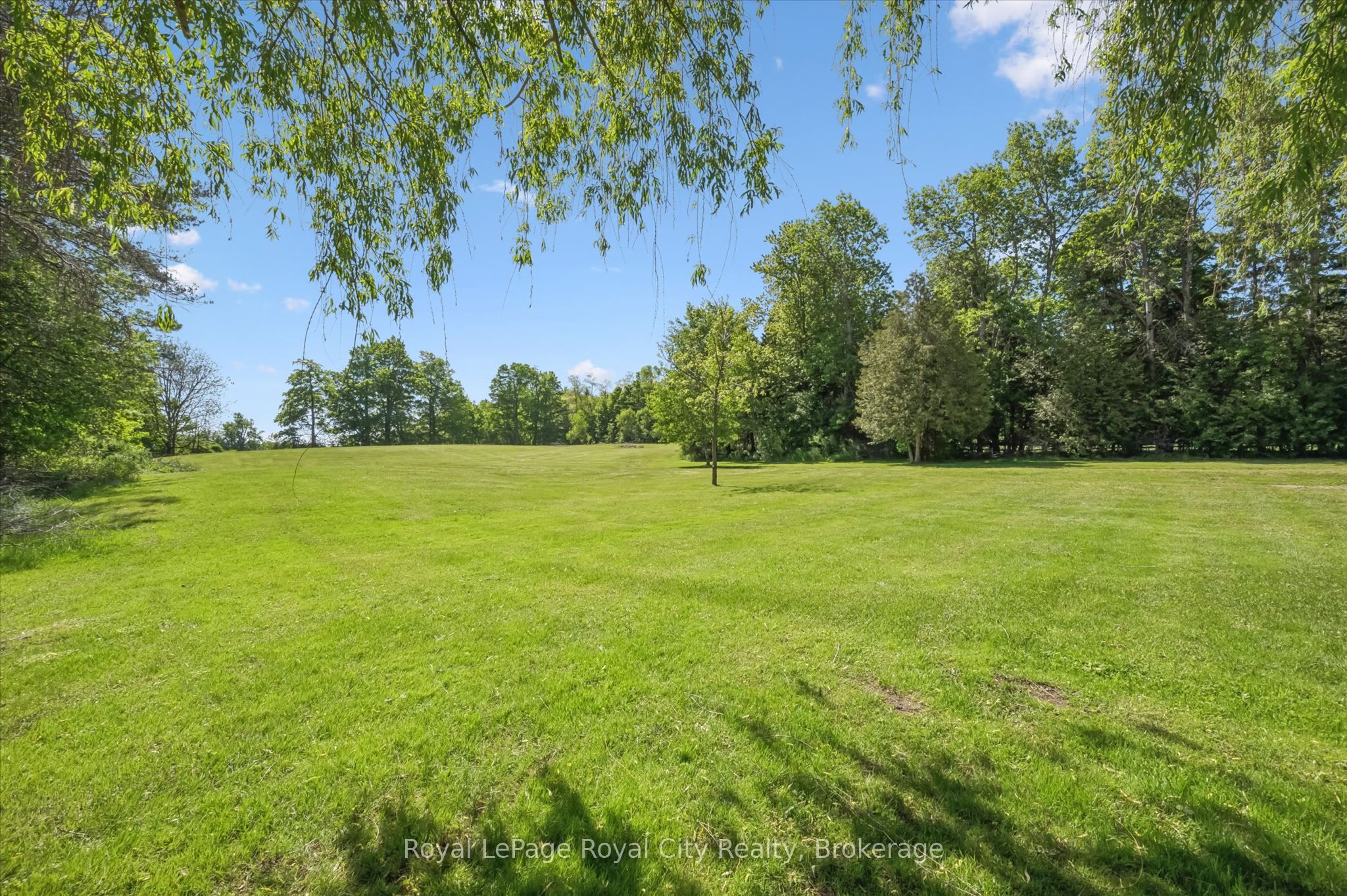 103 Gilkison Street, Centre Wellington, ON N0B 1S0 photo 4
