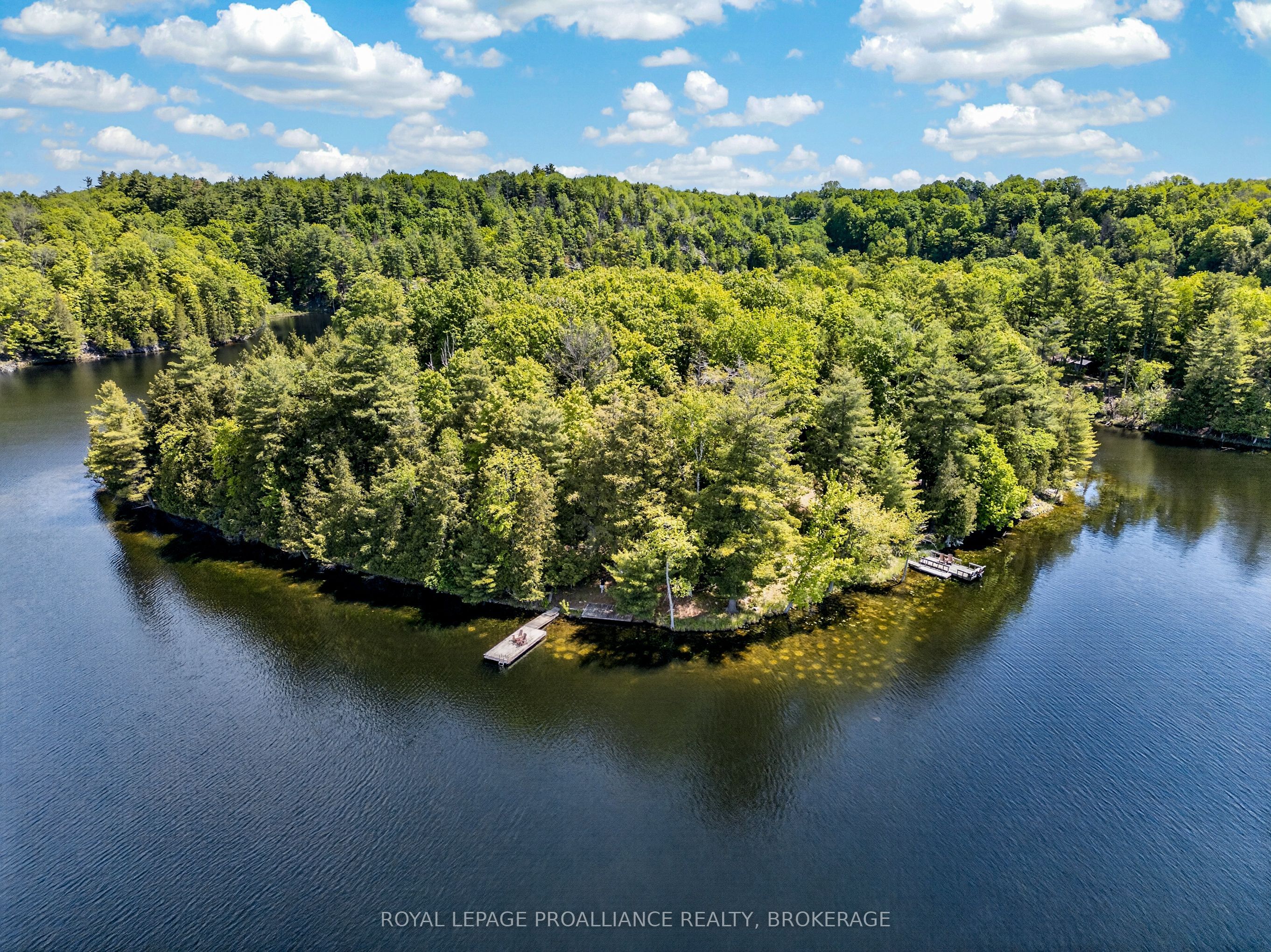 1147 Shadow Lane, Frontenac, ON K0H 2L0 photo 2