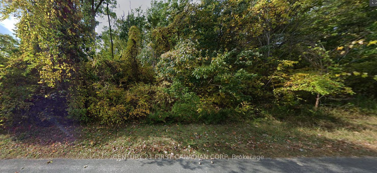 7619 CHESTER Trail, Lambton Shores, ON N0M 2L0 photo 2