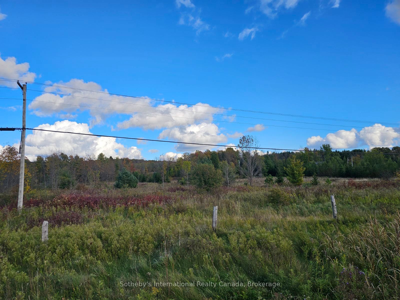 PT LT27 GREY ROAD 13, Grey Highlands, ON N0C 1E0