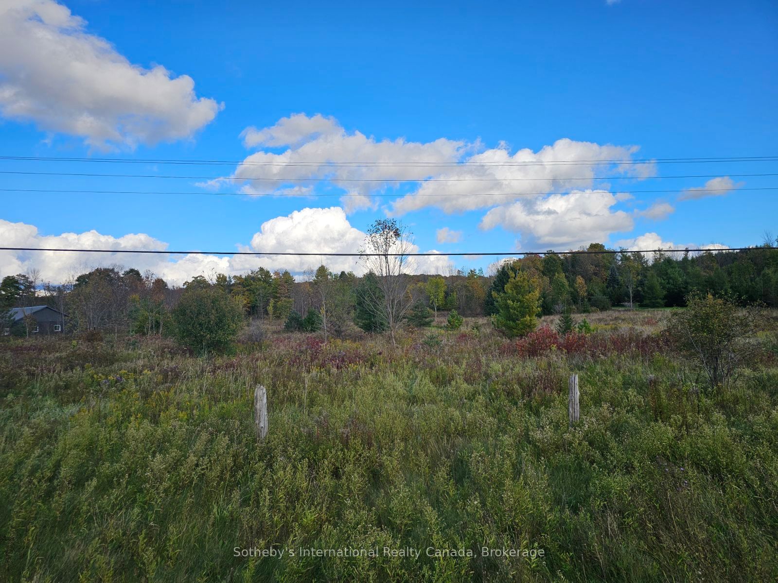 PT LT27 GREY ROAD 13, Grey Highlands, ON N0C 1E0 photo 2