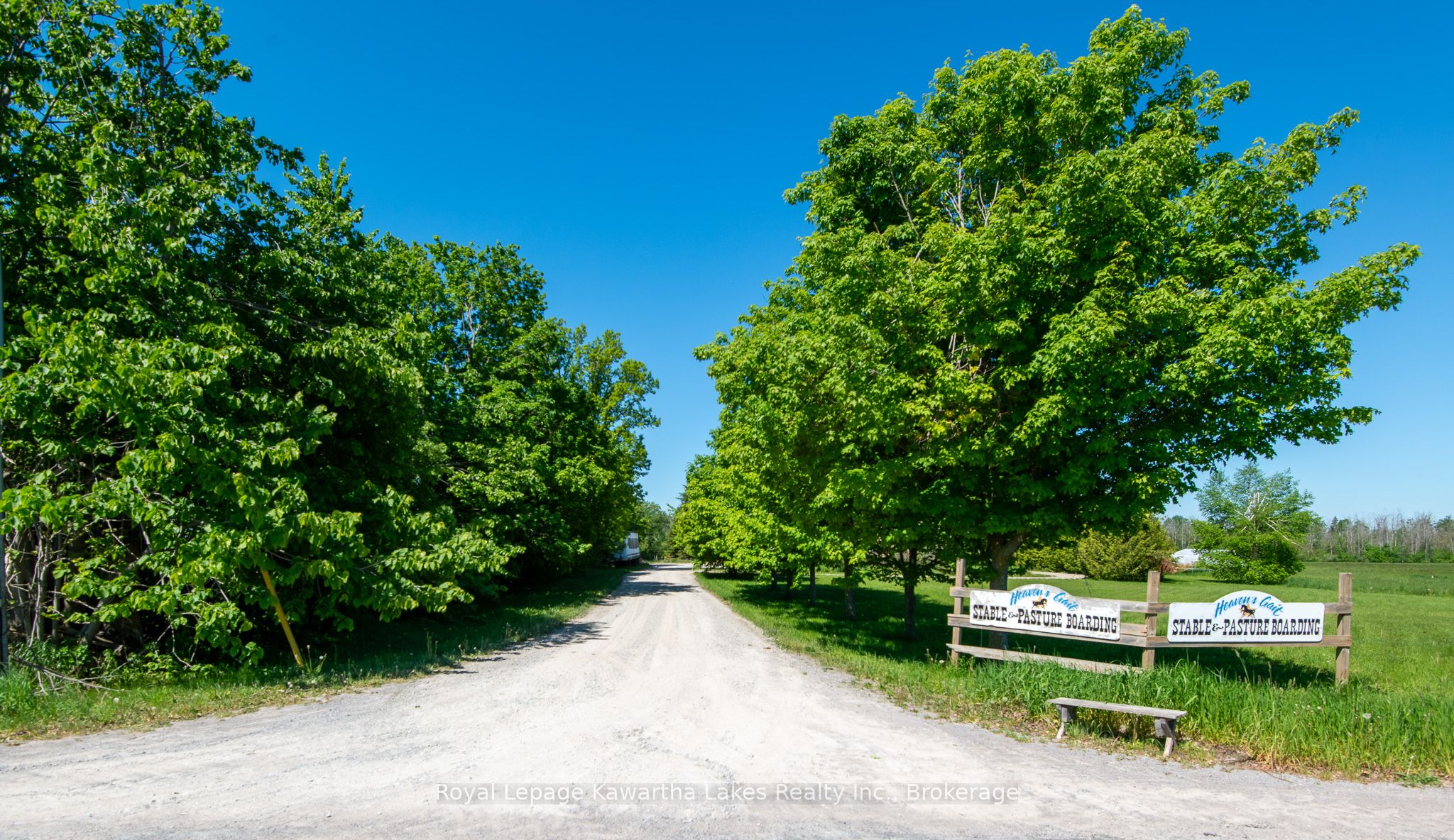 2435 Elm Tree Road, Kawartha Lakes, ON K0M 1E0 photo 3