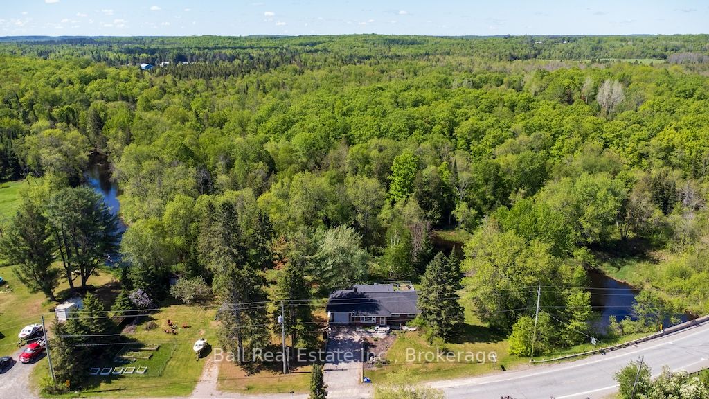 3993 County Rd 620, North Kawartha, ON K0L 1A0 photo 3