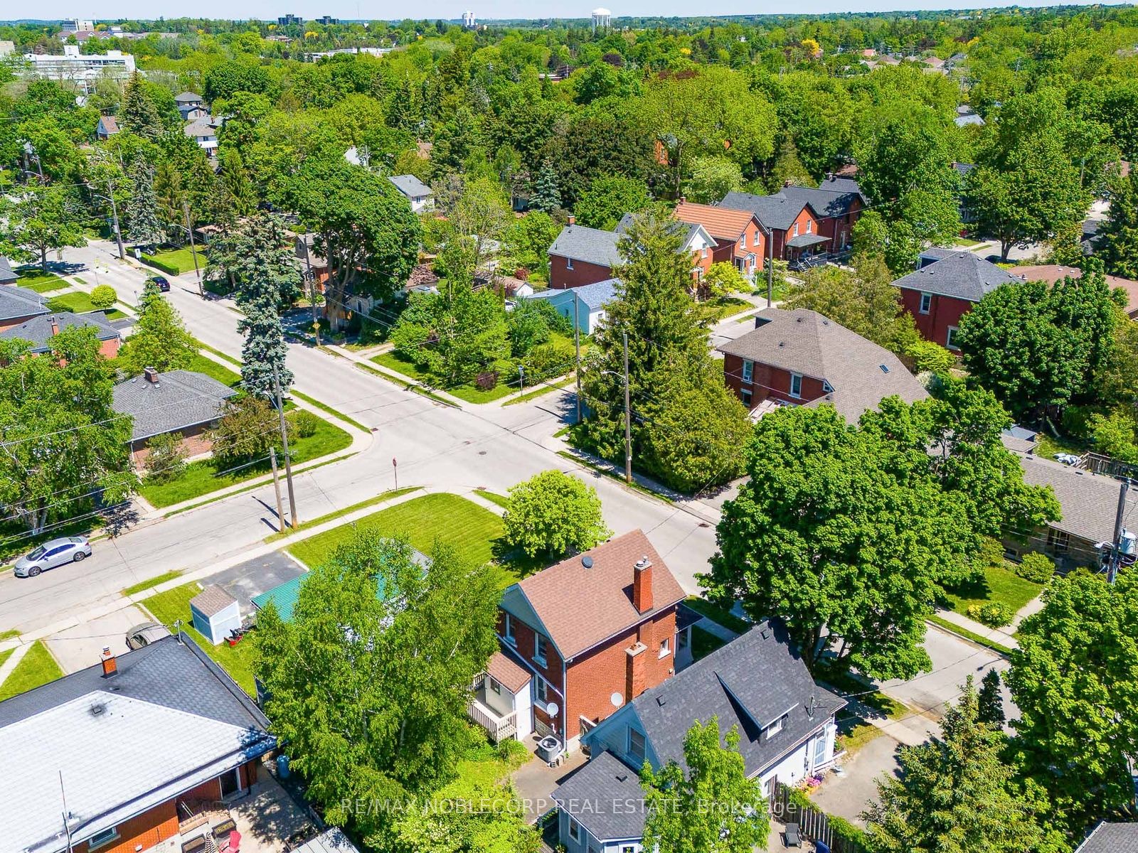 12 Bagot Street, Guelph, ON N1H 5S9 photo 5