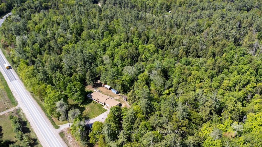 254 County Rd 620, North Kawartha, ON K0L 1A0 photo 3