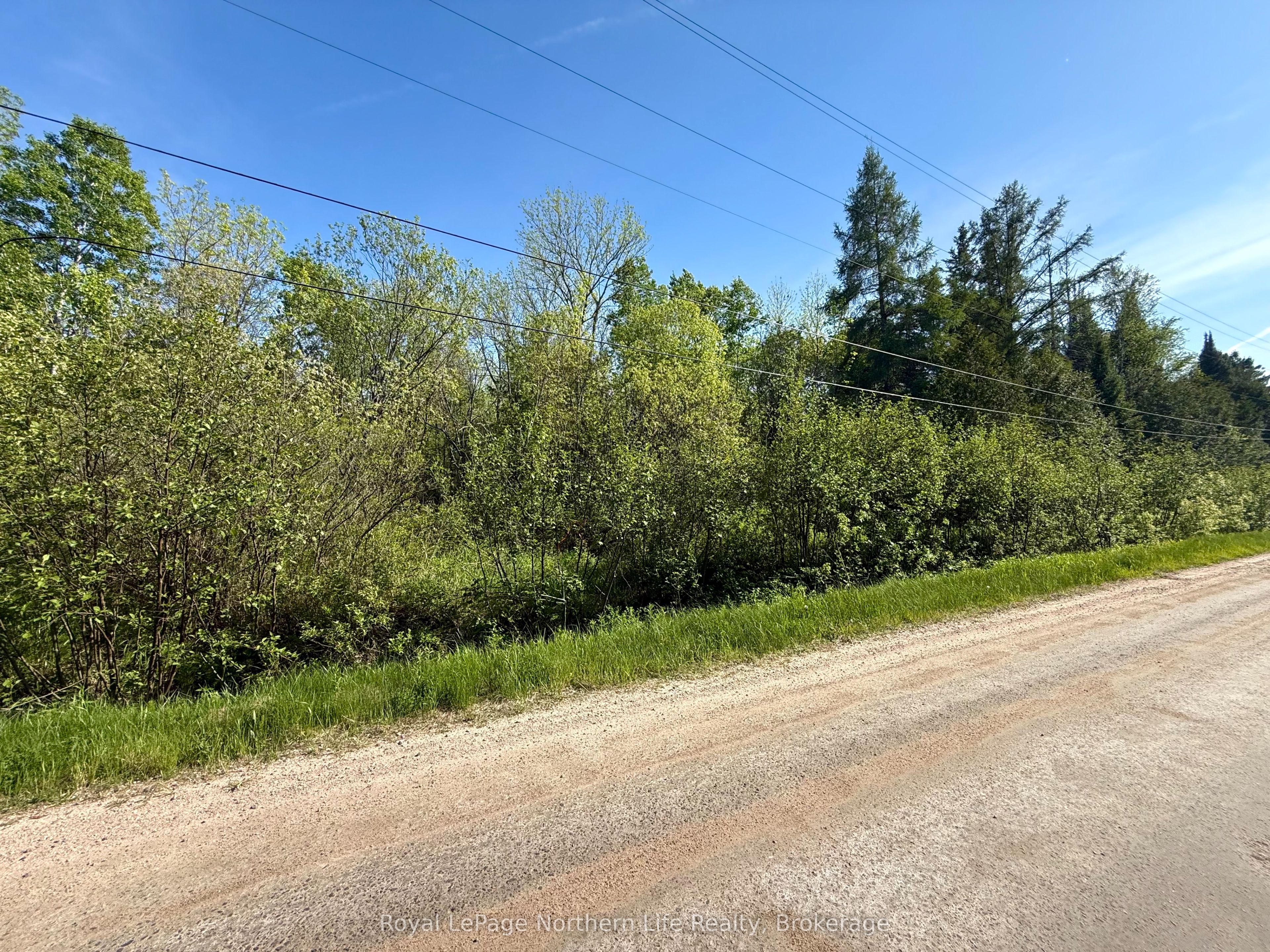 Lot 7 Concession 8, East Ferris, ON P0H 1K0 photo 2