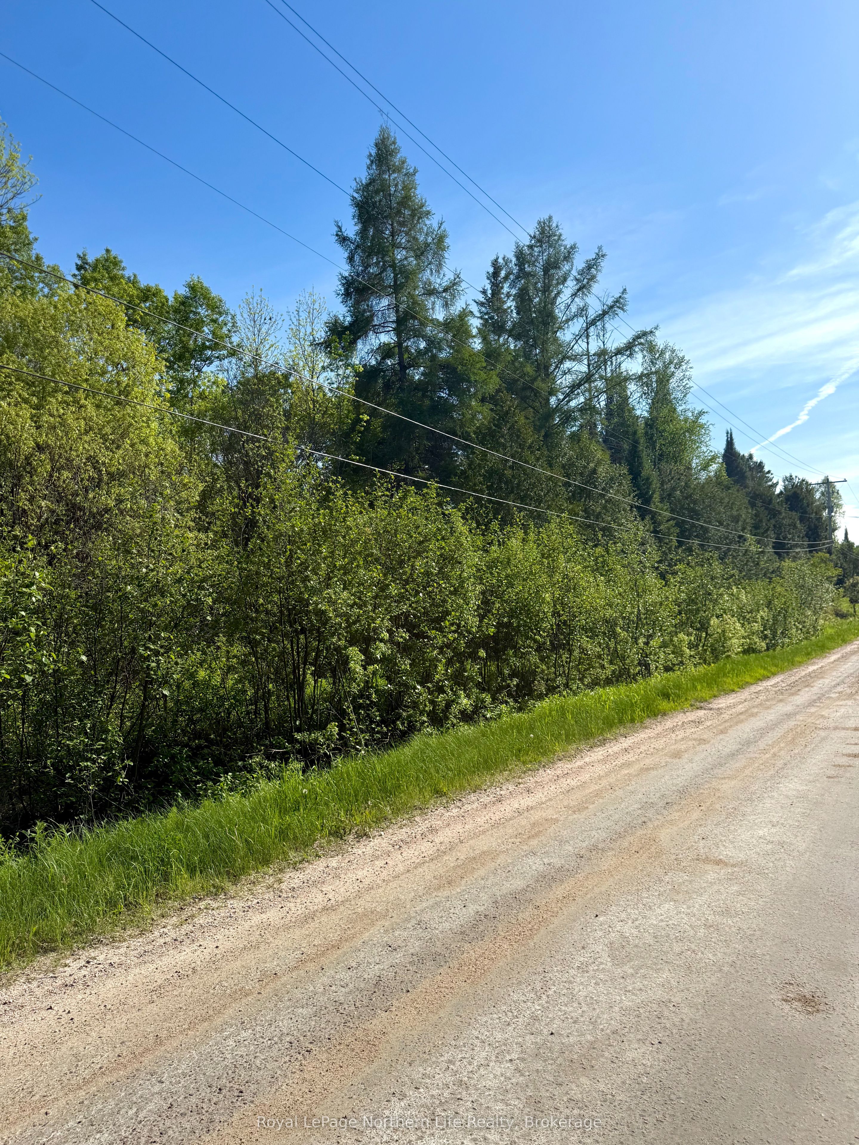 Lot 7 Concession 8, East Ferris, ON P0H 1K0 photo 5