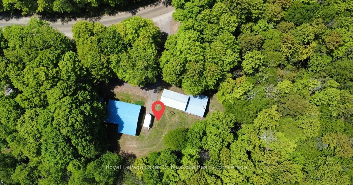 722 South Horn Lk Road, Armour, ON P0A 1C0 photo 3