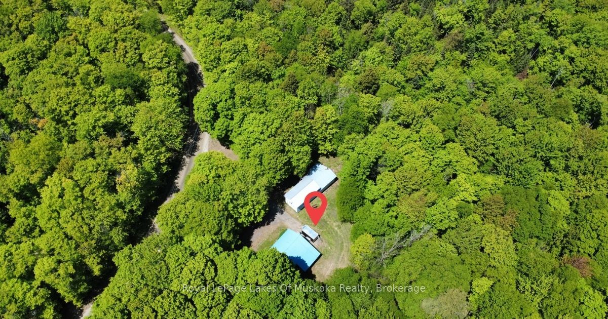722 South Horn Lk Road, Armour, ON P0A 1C0 photo 4