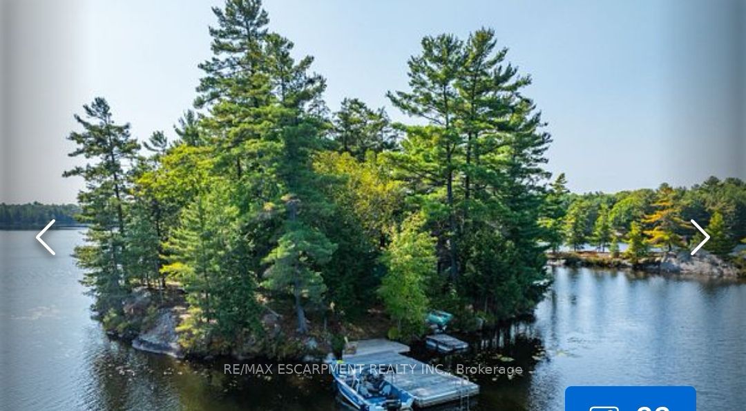 431 Healey Lake Water, The Archipelago, ON P0G 1G0 photo 3