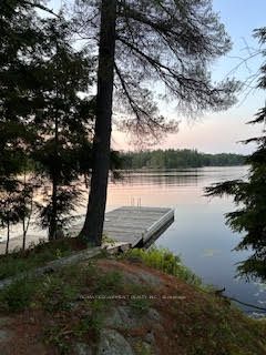 431 Healey Lake Water, The Archipelago, ON P0G 1G0 photo 5