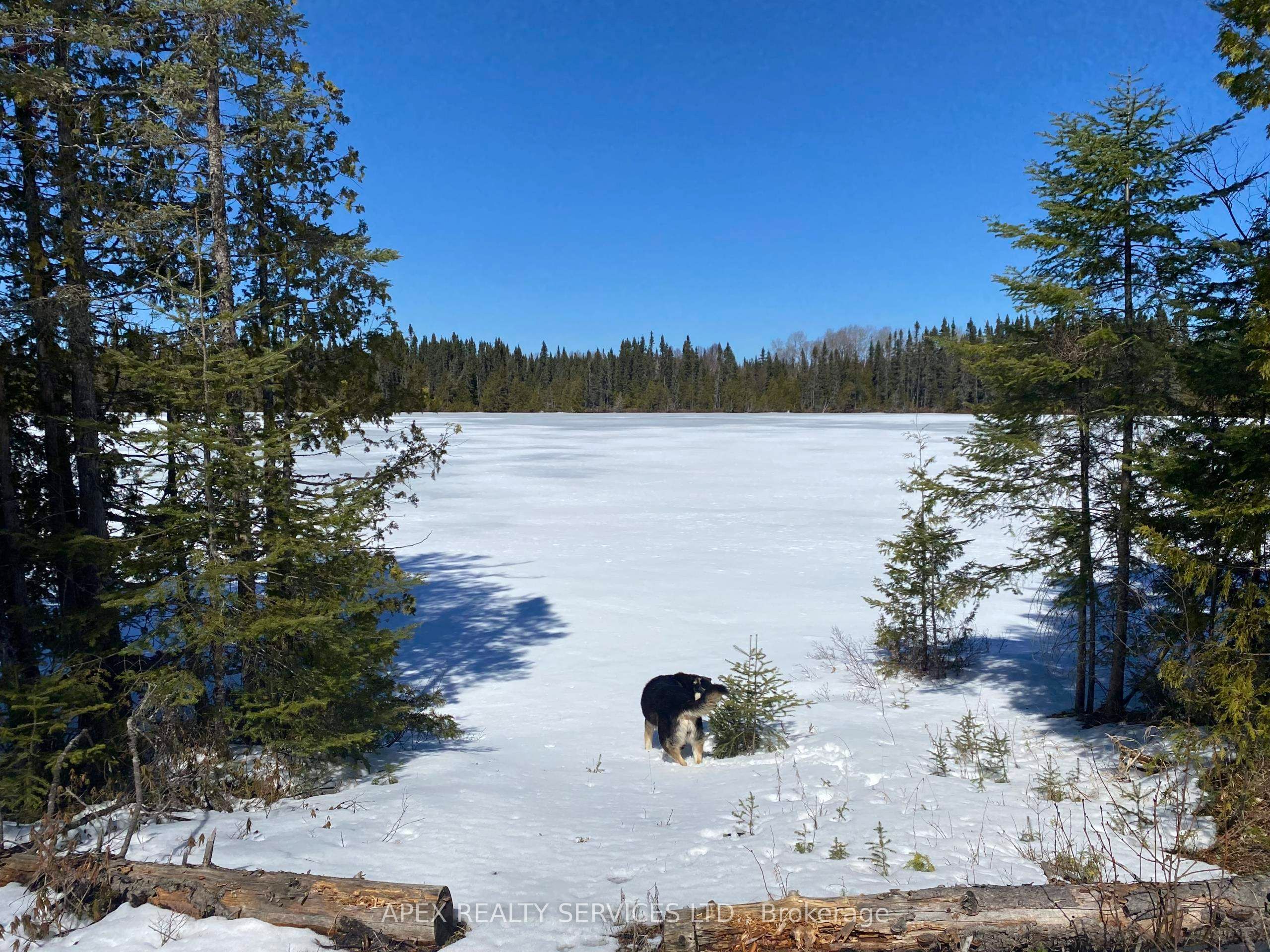 Parcel 11 Con 6, Thunder Bay Remote Area, ON P0T 2K0 photo 2