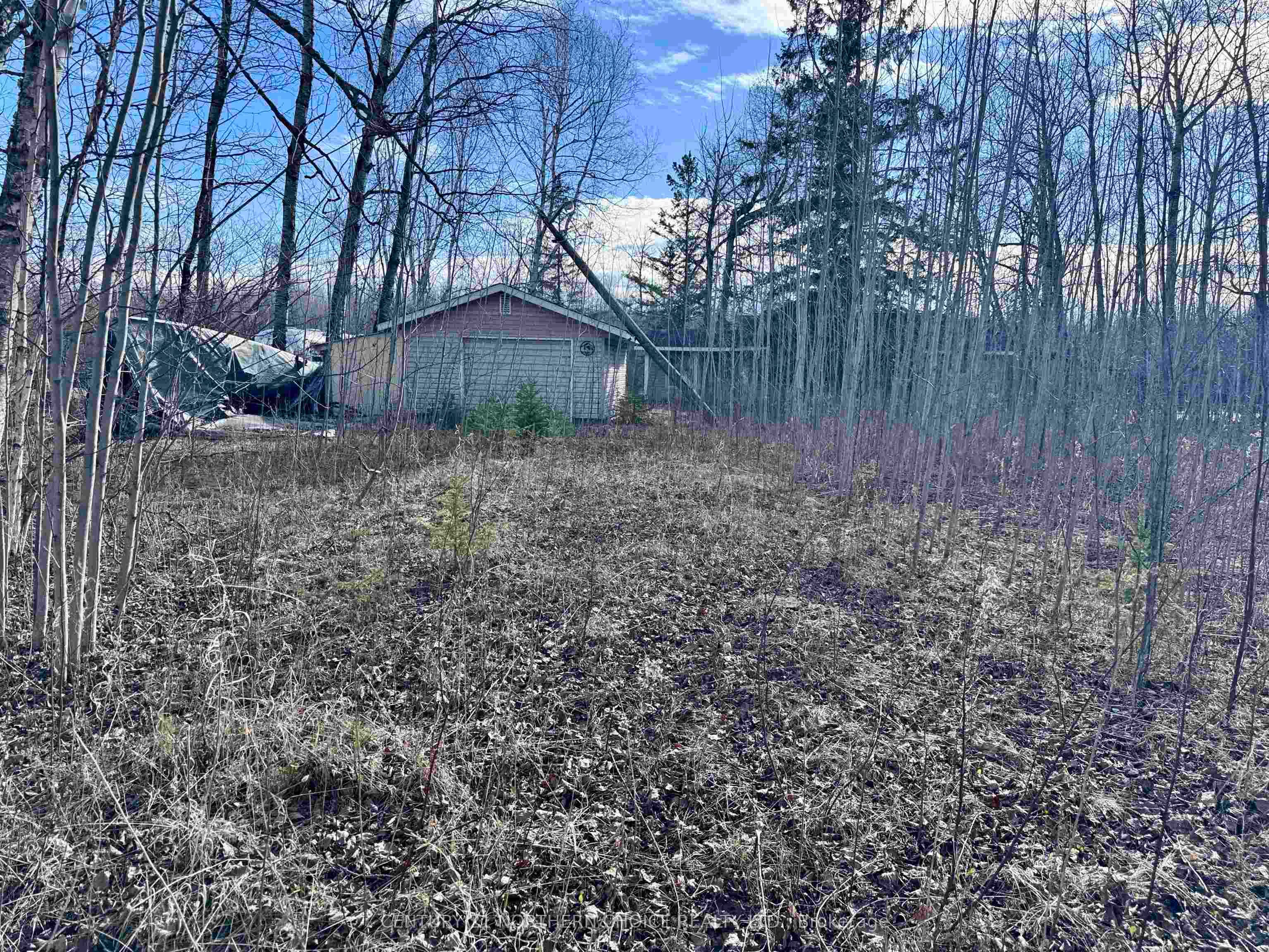 99 Kreger Road, Lake of the Woods, ON P0W 1M0 photo 4