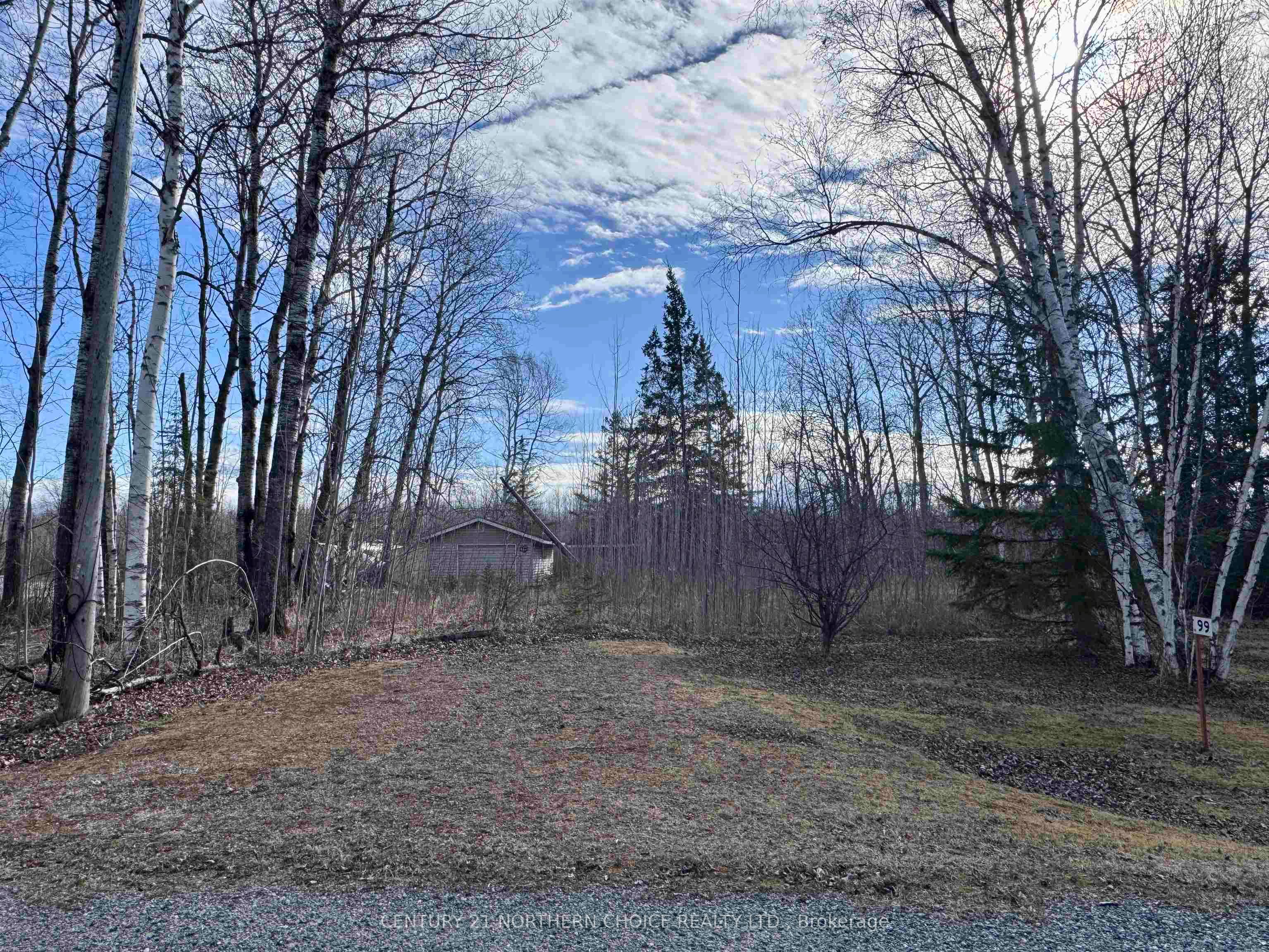 99 Kreger Road, Lake of the Woods, ON P0W 1M0 photo 5