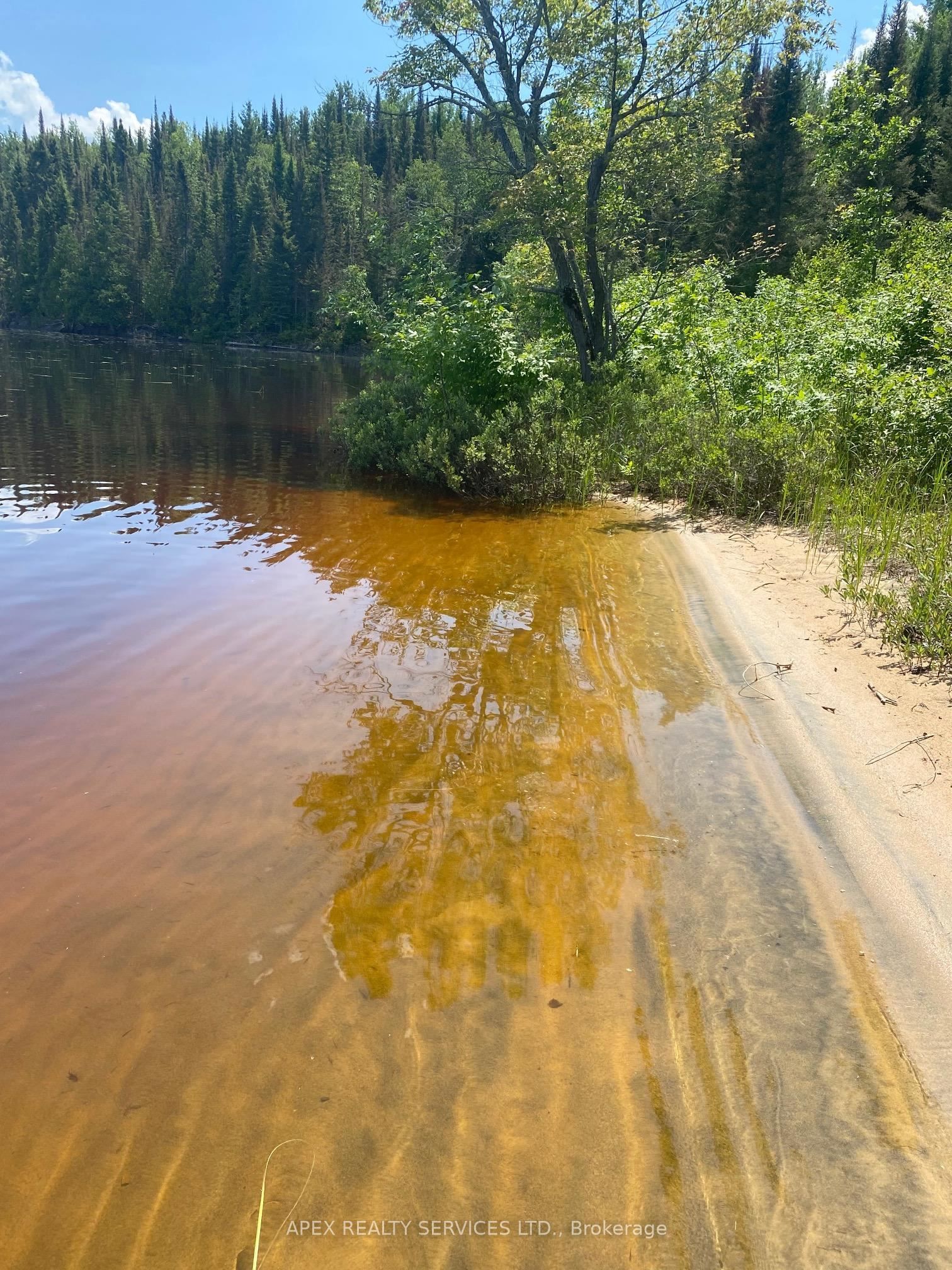Parcel 26057, Rainy River Remote Area, ON P0W 1H0 photo 4