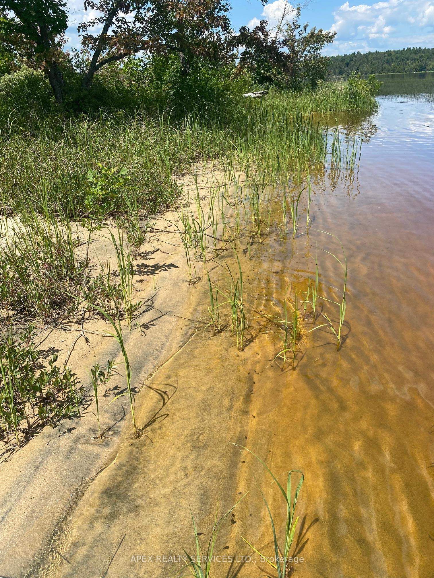 Parcel 26057, Rainy River Remote Area, ON P0W 1H0 photo 5