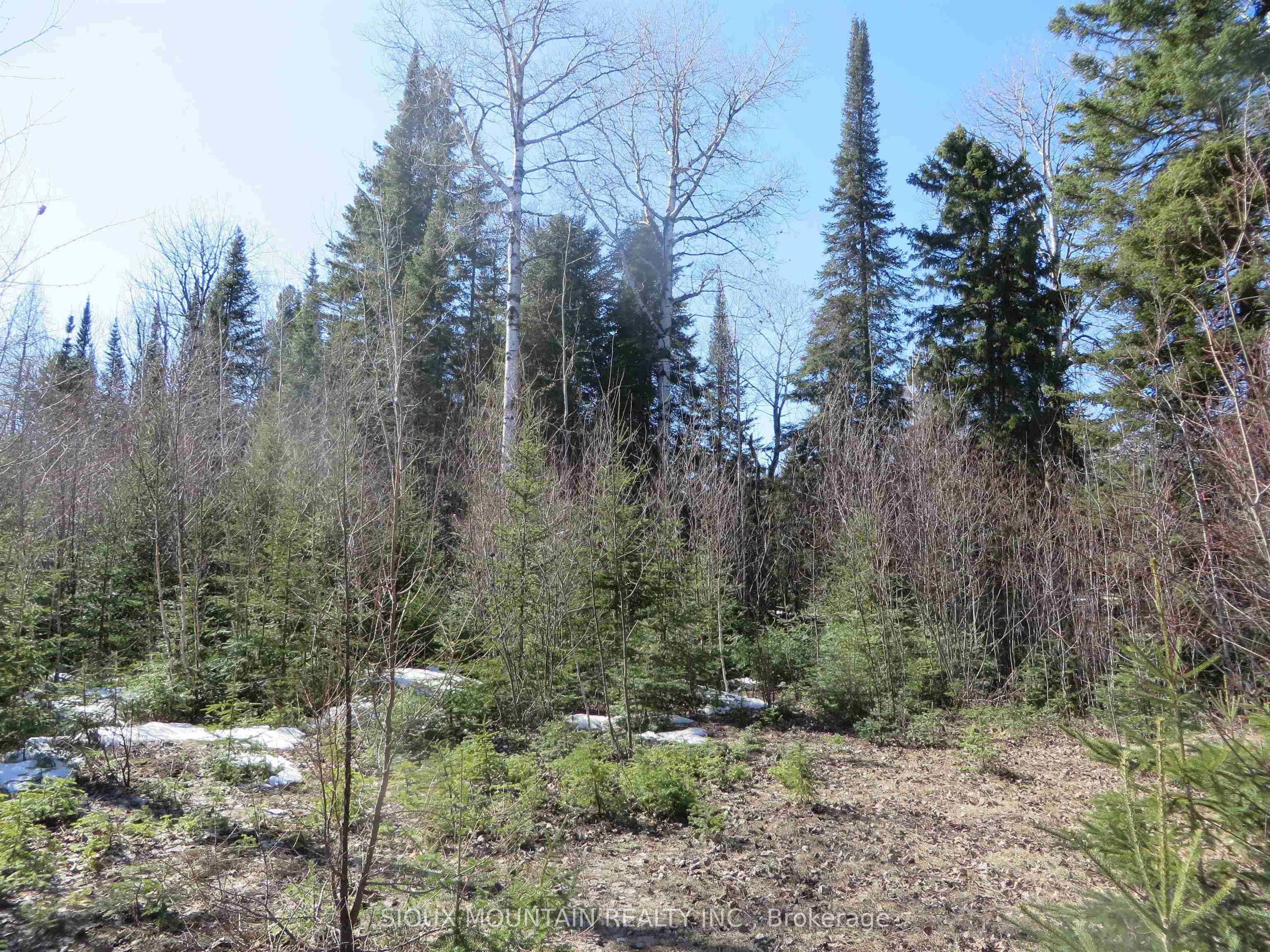 92 Abram Lake Road, Sioux Lookout, ON P8T 0A7 photo 4