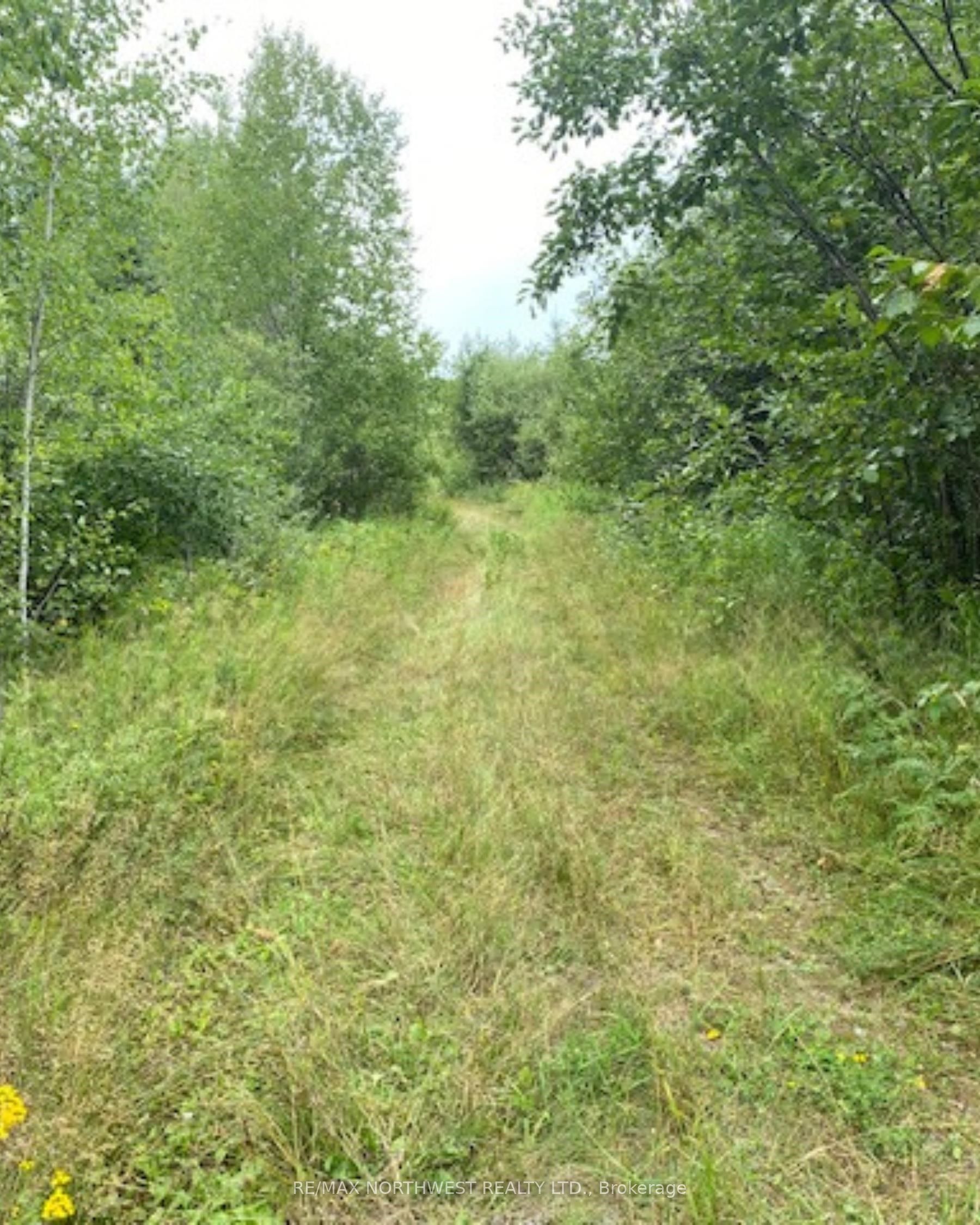 Gaye Street, Kenora, ON P9N 0A8 photo 4