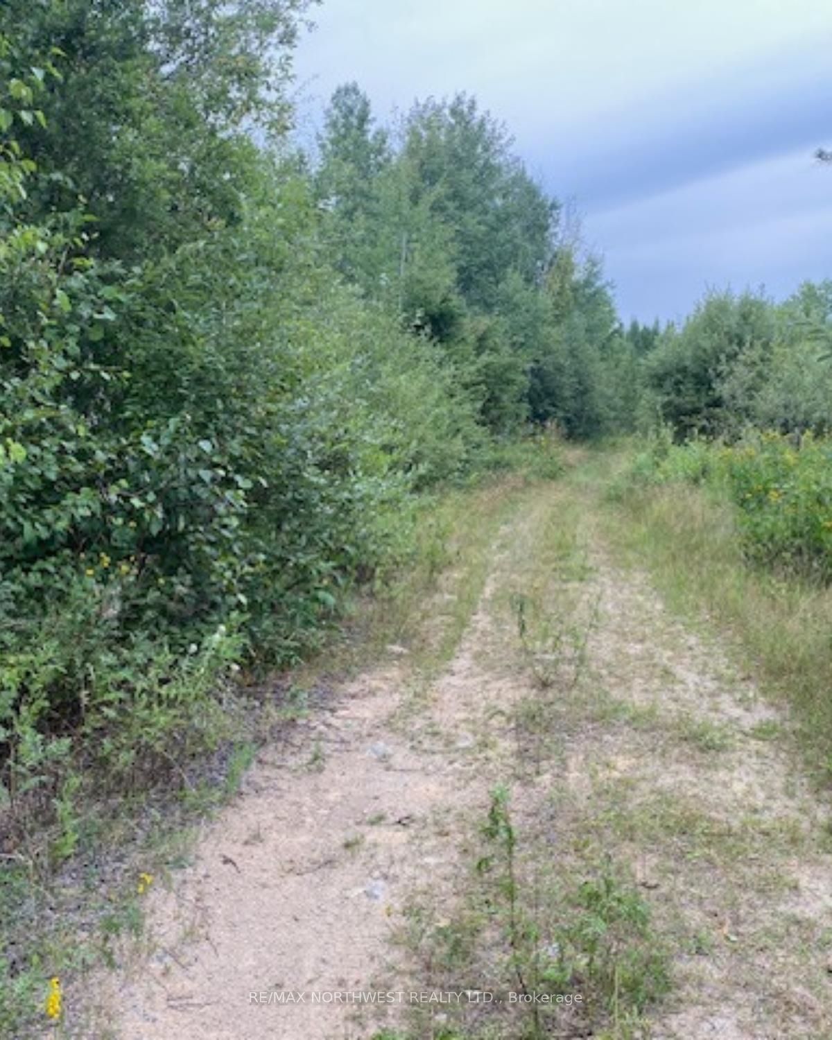 Gaye Street, Kenora, ON P9N 0A8 photo 5