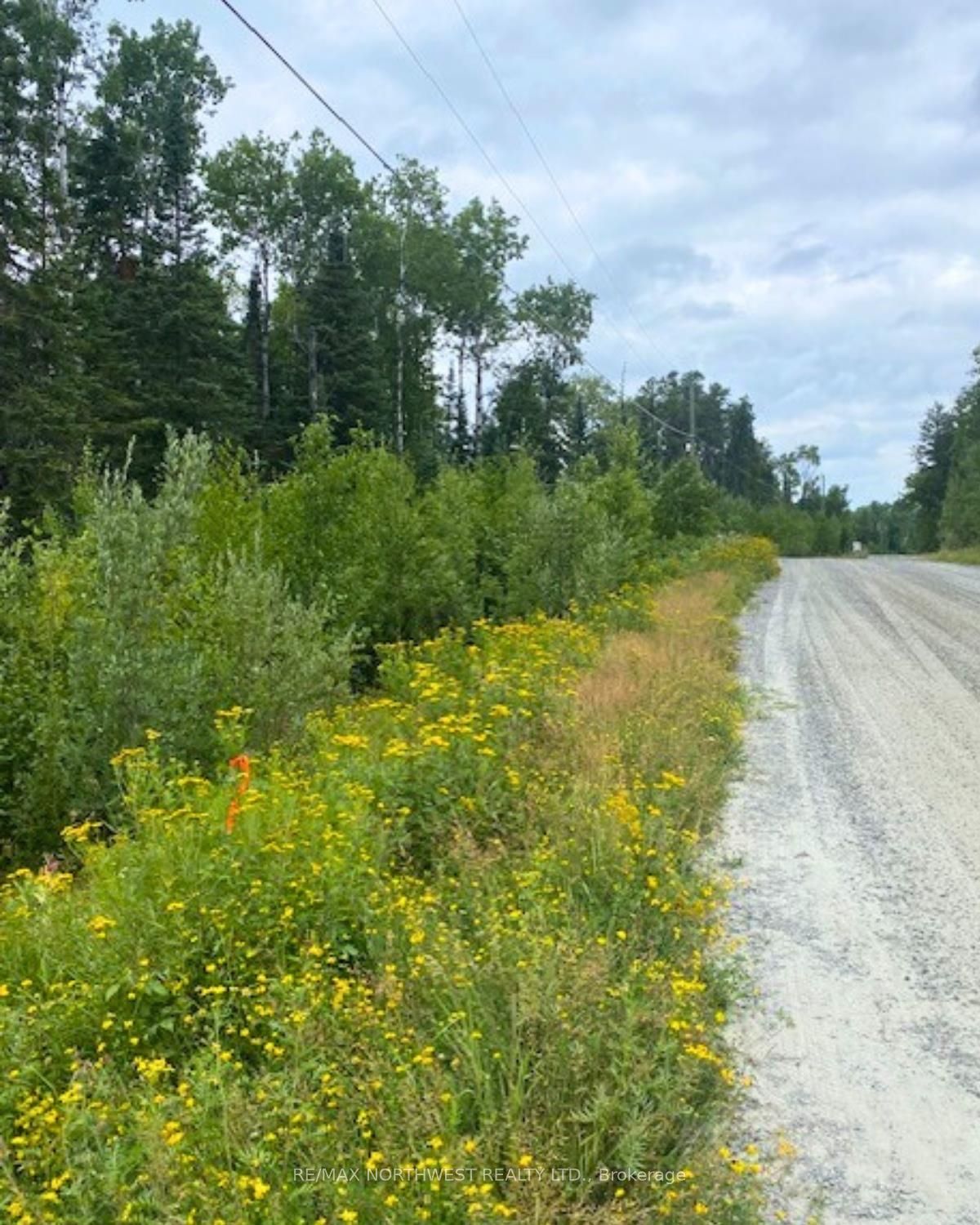 LOT 15 Jarnel Drive, Kenora, ON P9N 0A9 photo 4