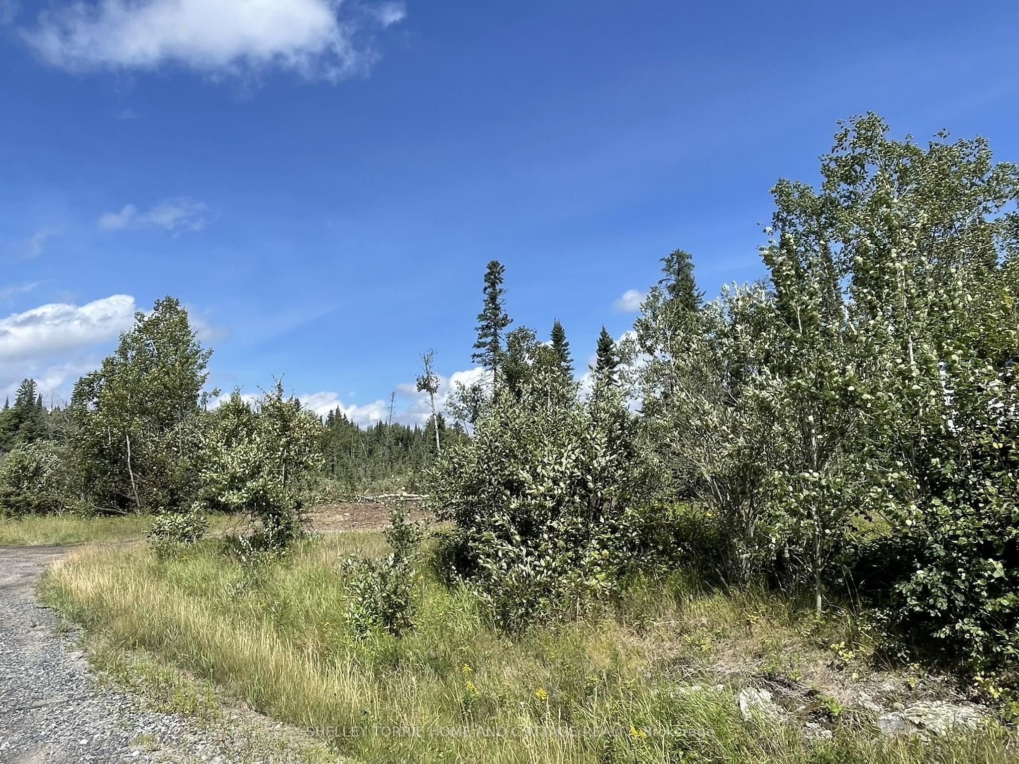 Villeneuve Road NE, Kenora, ON P9N 0B9 photo 5
