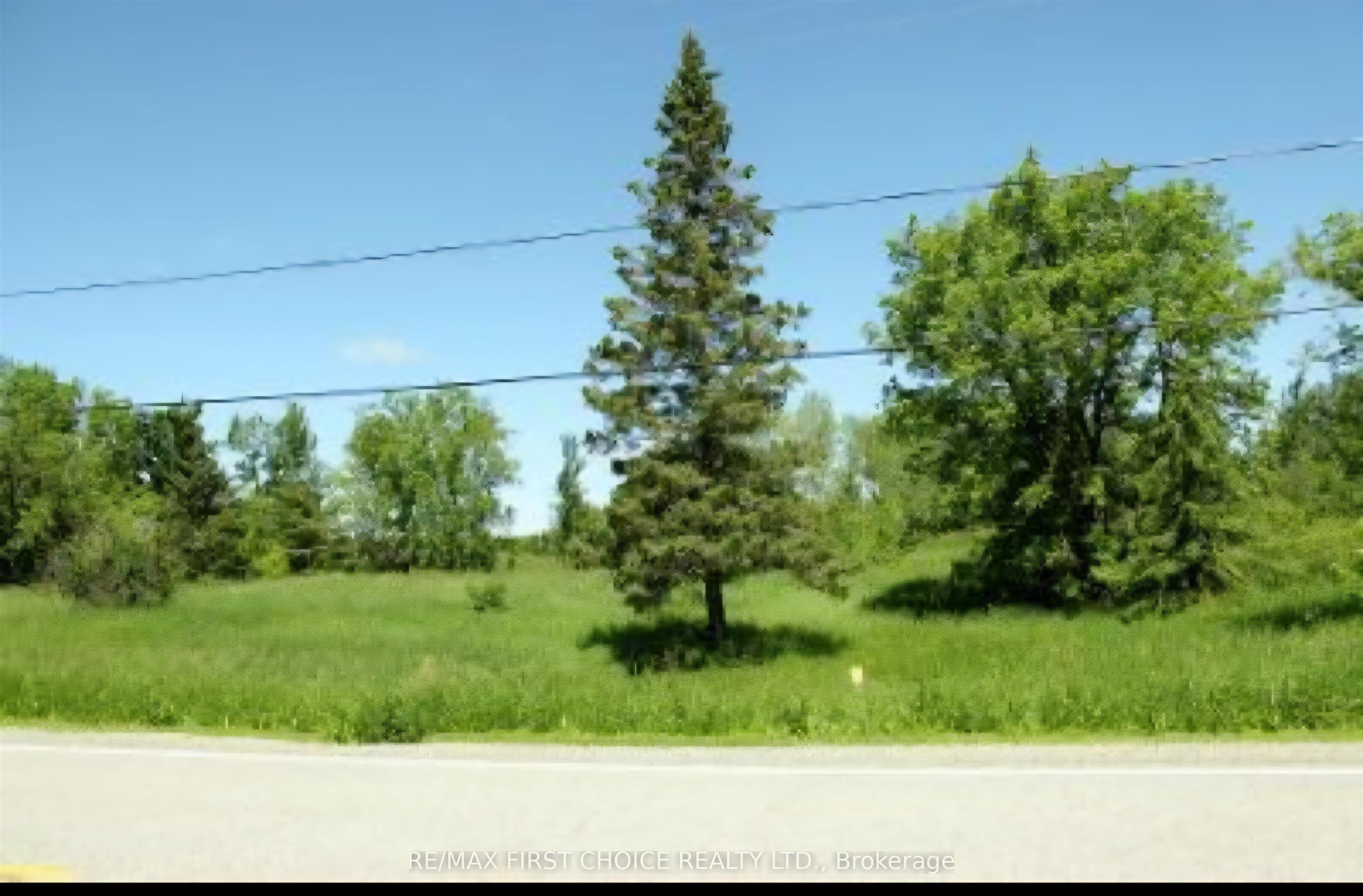 605 HWY 11, Dawson, ON P0W 1M0 photo 3
