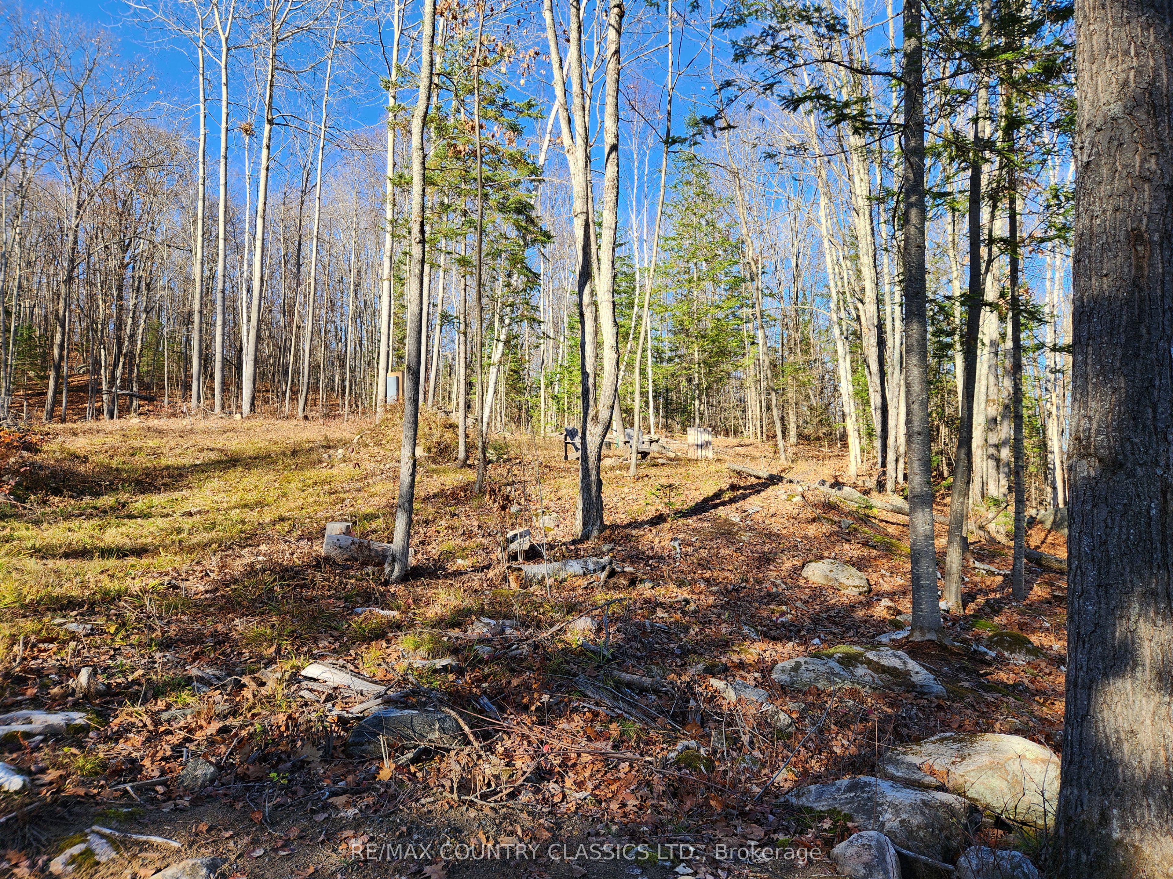 790 Mitchell Road, Madawaska Valley, ON K0J 1B0 photo 2