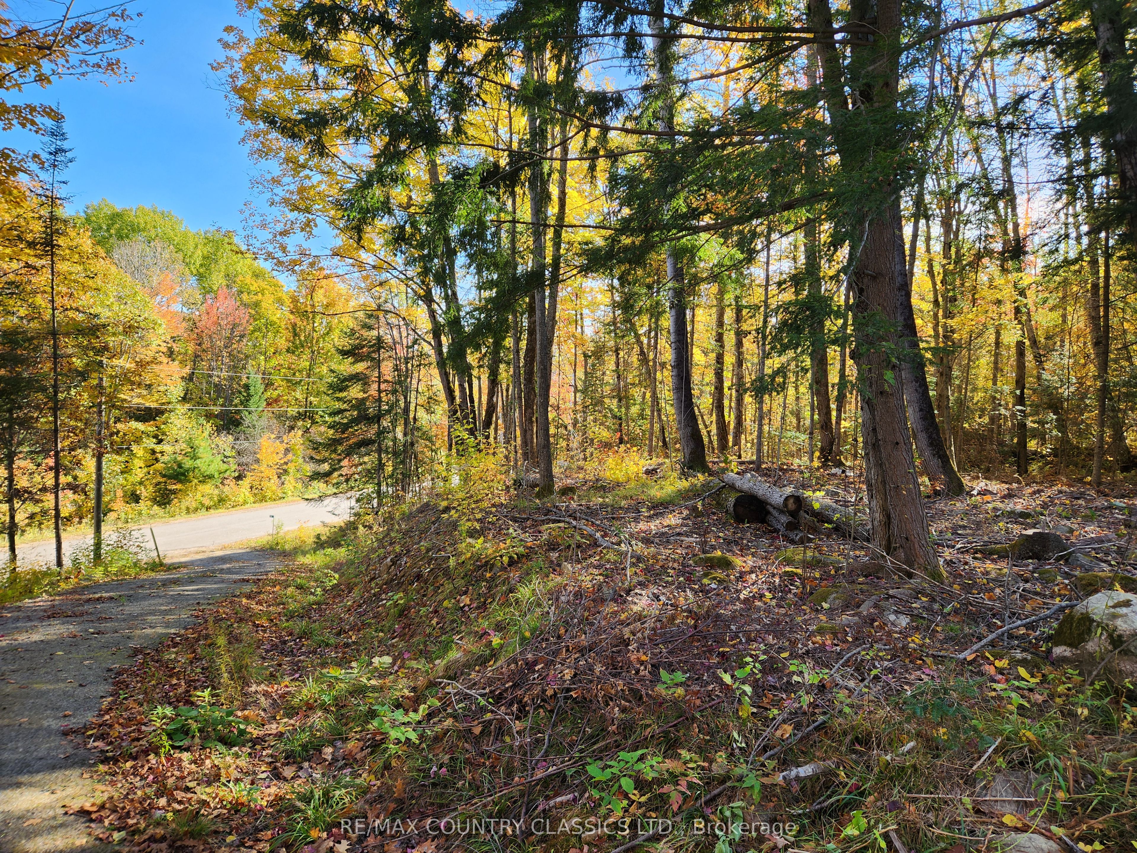 790 Mitchell Road, Madawaska Valley, ON K0J 1B0 photo 3