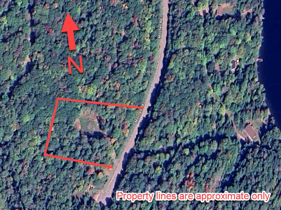 790 Mitchell Road, Madawaska Valley, ON K0J 1B0 photo 4