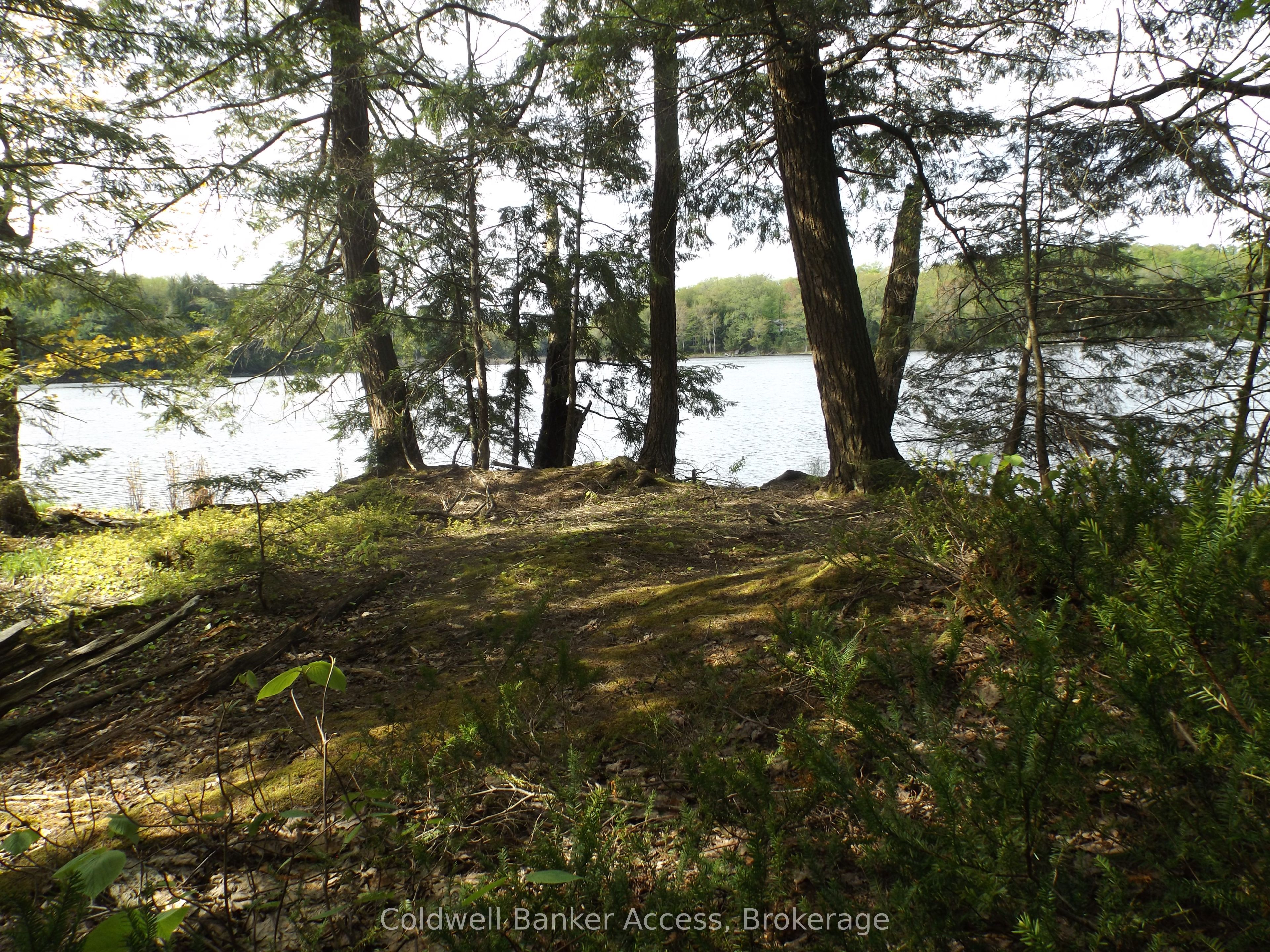 1108 Buckeye Road, Muskoka Lakes, ON P0C 1H0