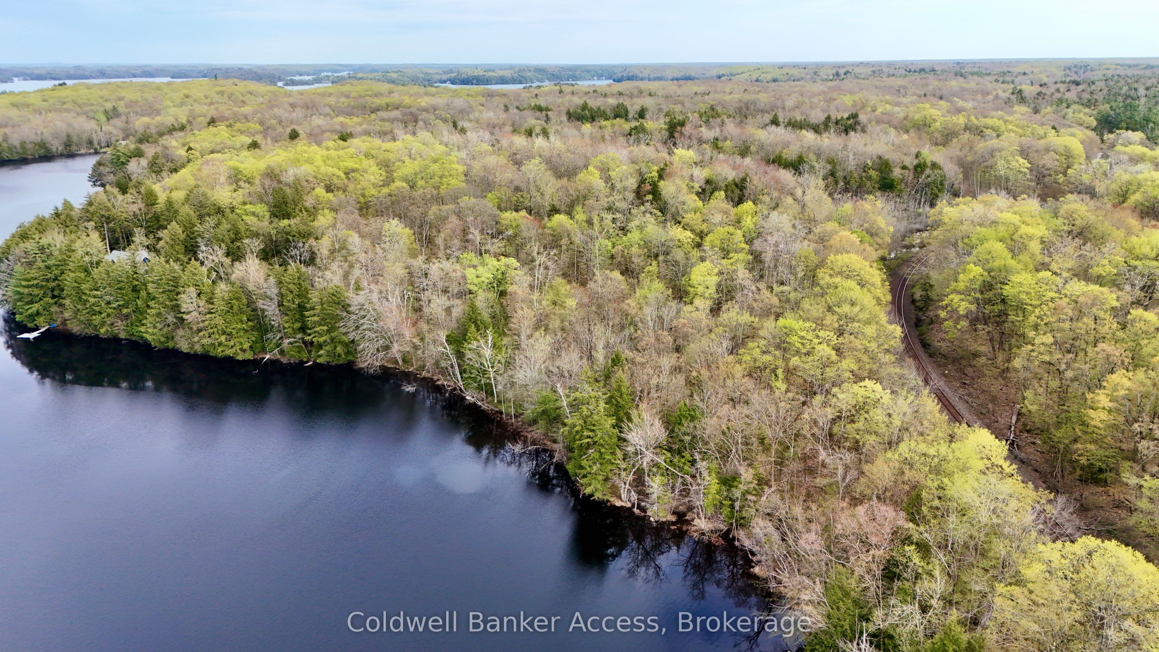 1108 Buckeye Road, Muskoka Lakes, ON P0C 1H0 photo 3