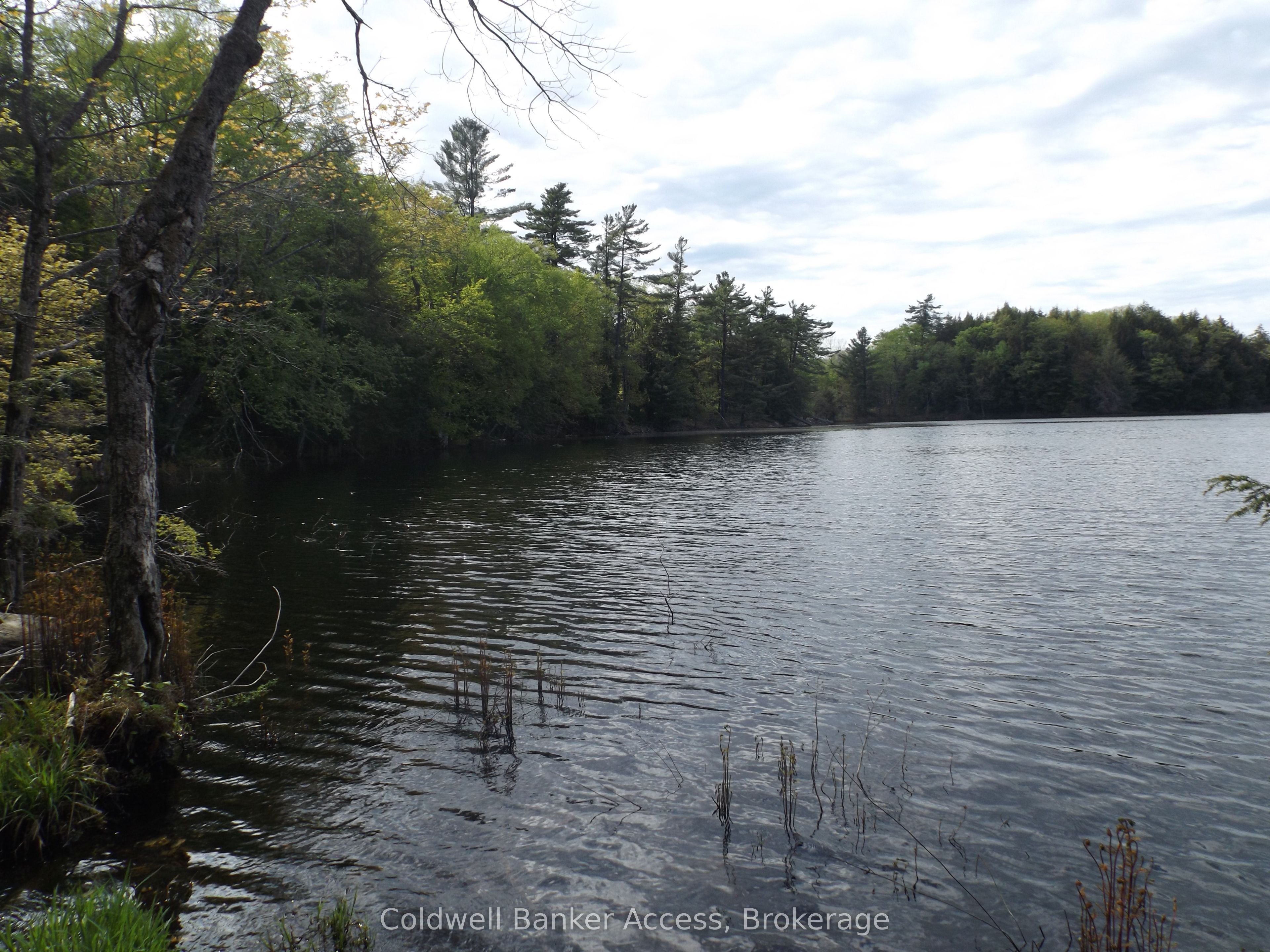 1108 Buckeye Road, Muskoka Lakes, ON P0C 1H0 photo 5