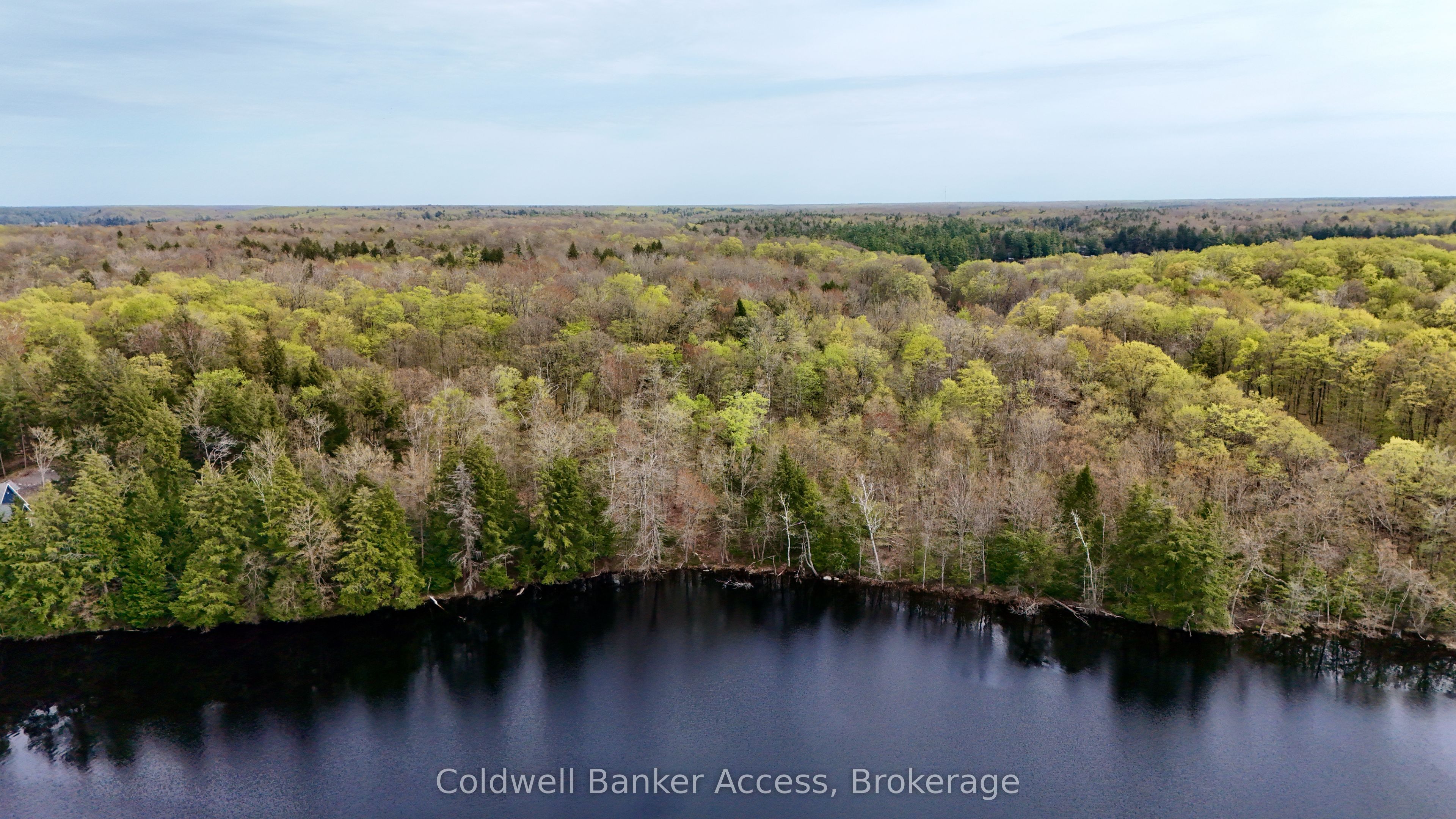 Severed Buckeye Road, Muskoka Lakes, ON P0C 1H0 photo 4