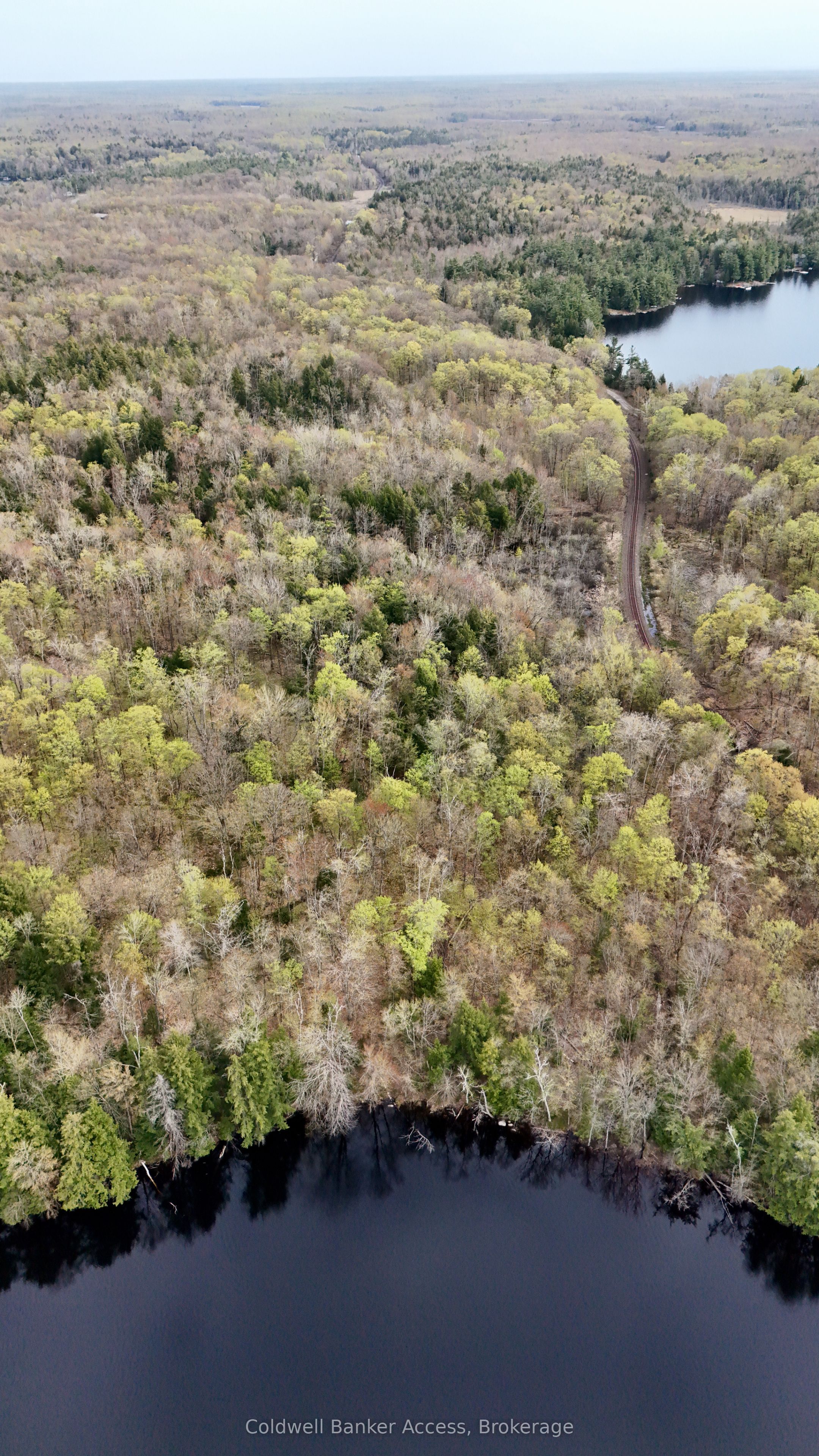 Severed Buckeye Road, Muskoka Lakes, ON P0C 1H0 photo 5
