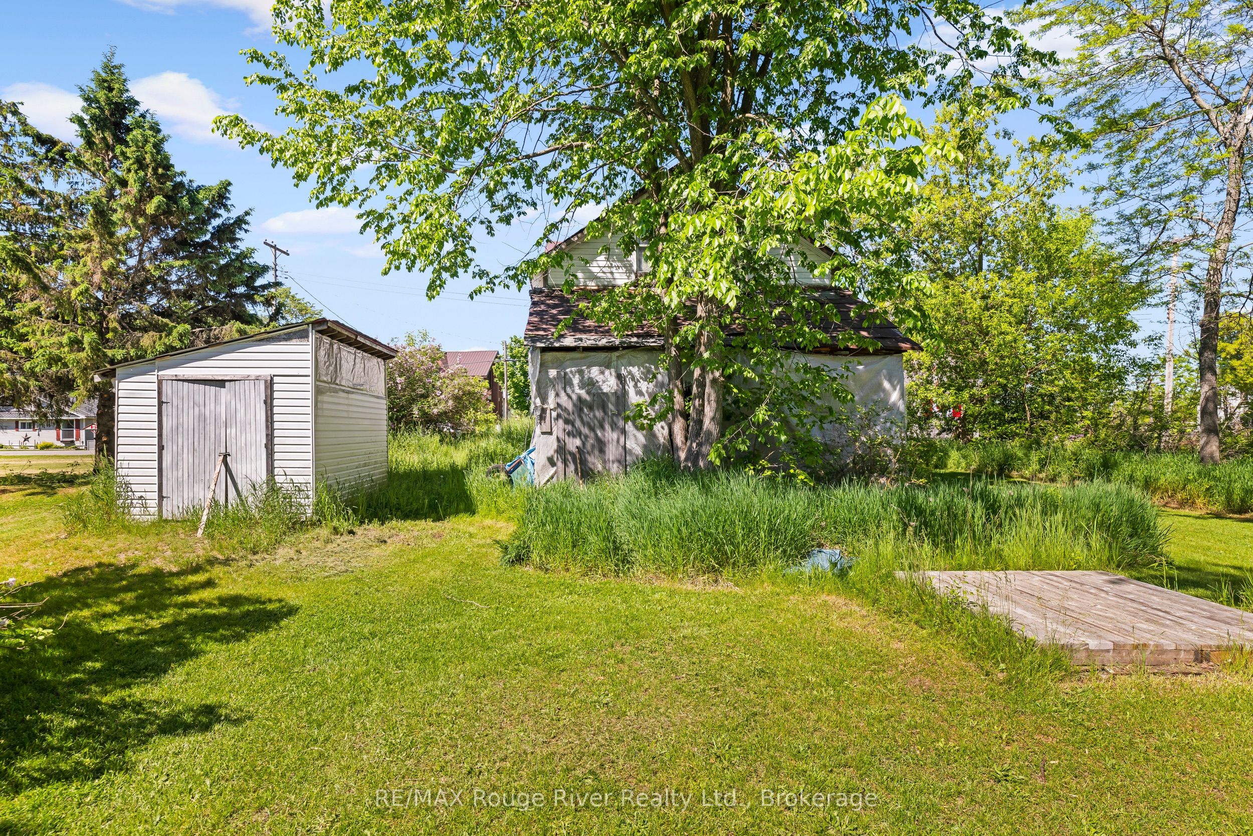 2407 Indian River Line, Otonabee-South Monaghan, ON K0L 2B0 photo 5