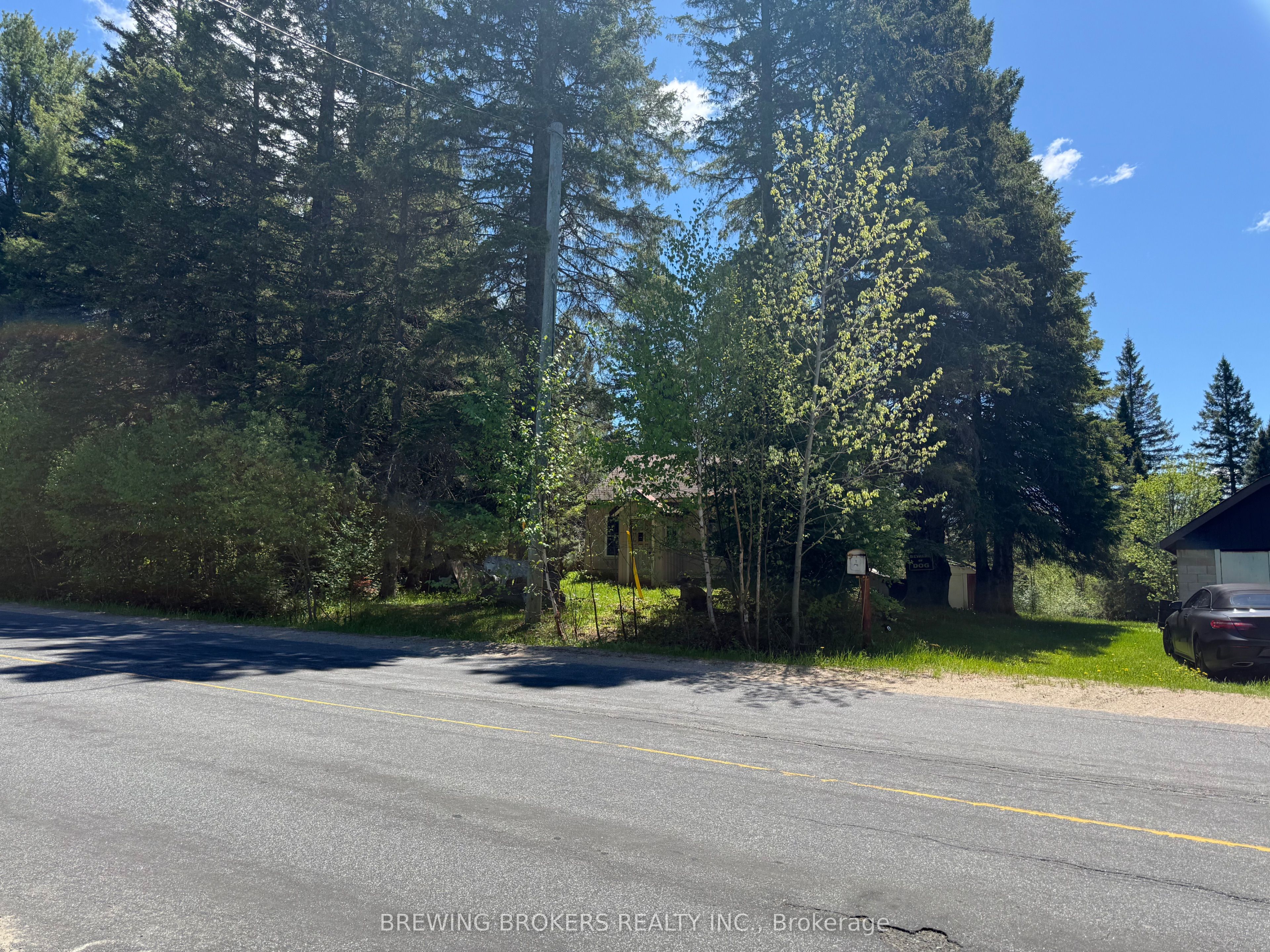 3225 Hwy 518 W, McMurrich/Monteith, ON P0A 1Y0 photo 3