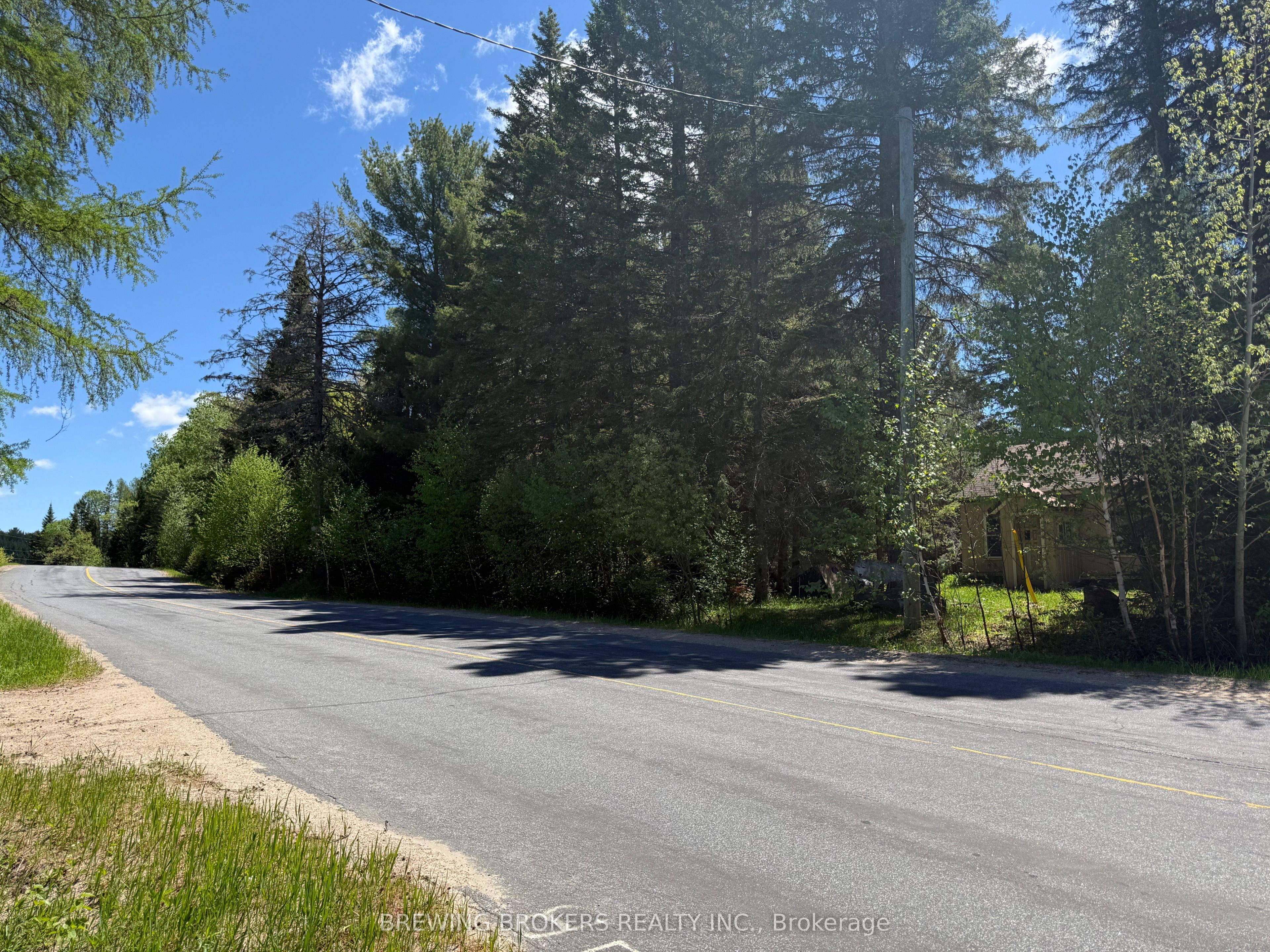 3225 Hwy 518 W, McMurrich/Monteith, ON P0A 1Y0 photo 4