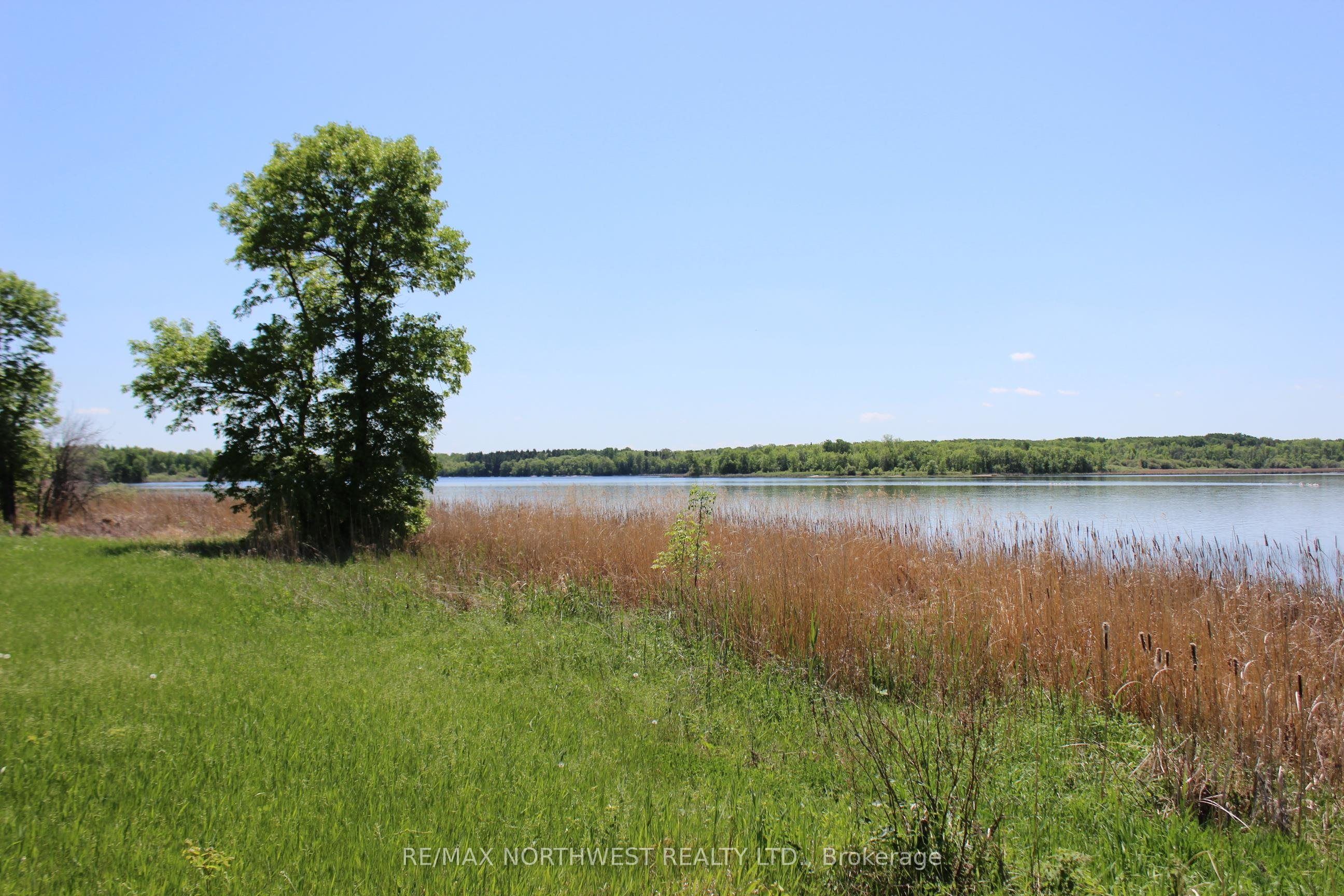220 MORRISON RD, Lake of the Woods, ON P0W 1J0 photo 3