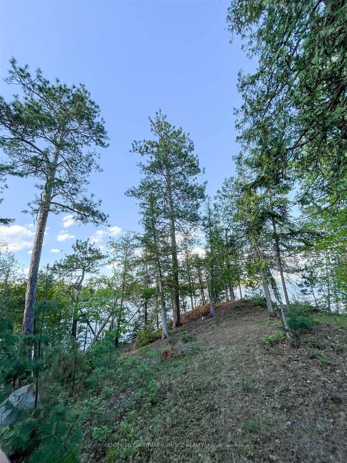 11 Hay Island E, Kenora, ON P0X 1H0 photo 2