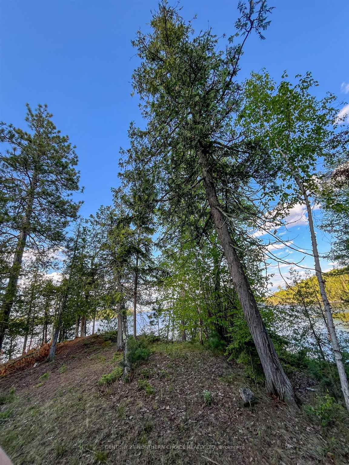 11 Hay Island E, Kenora, ON P0X 1H0 photo 3