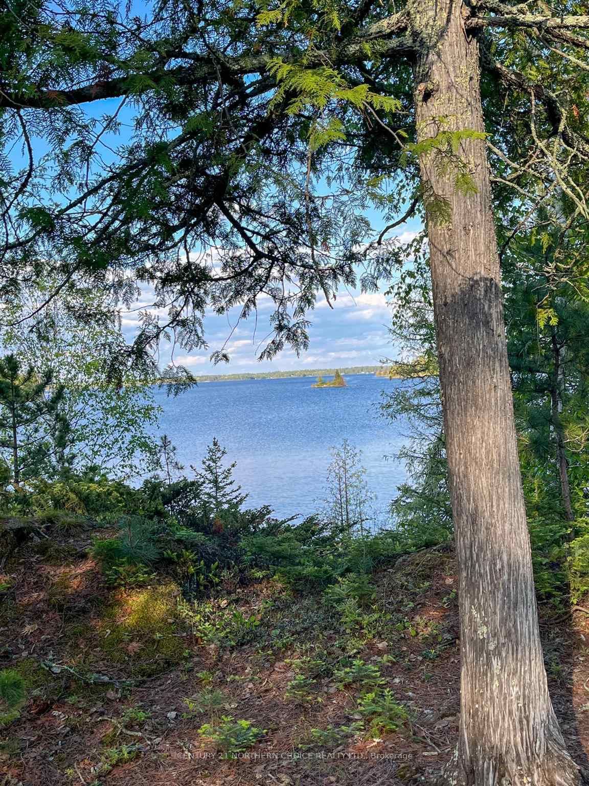 11 Hay Island E, Kenora, ON P0X 1H0 photo 5