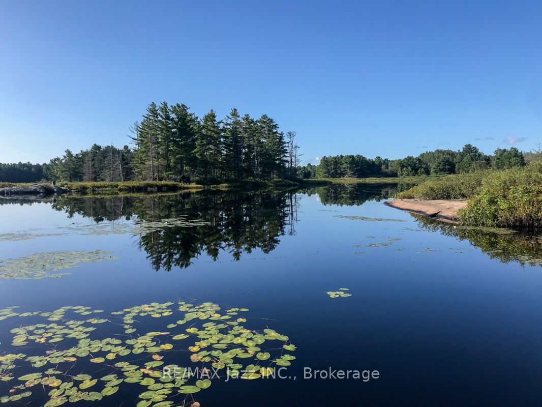 1314 Shebeshekong Road, Carling, ON P0G 1G0 photo 2