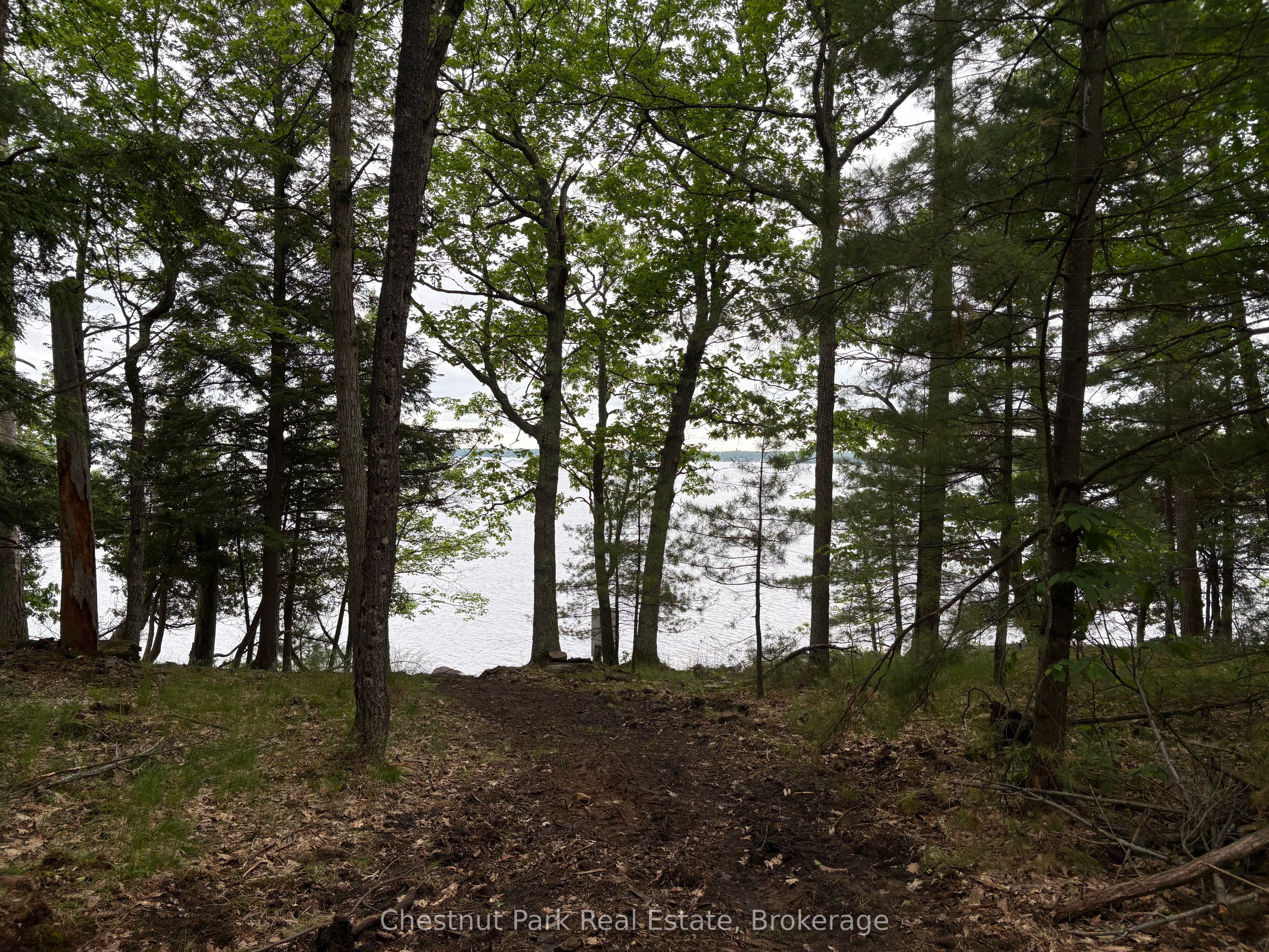 972 Browning Island, Bracebridge, ON P1L 1X2 photo 5