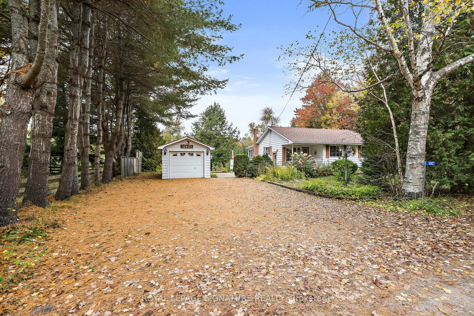 1047 Lagoon Road, Highlands East, ON K0L 1C0 photo 3