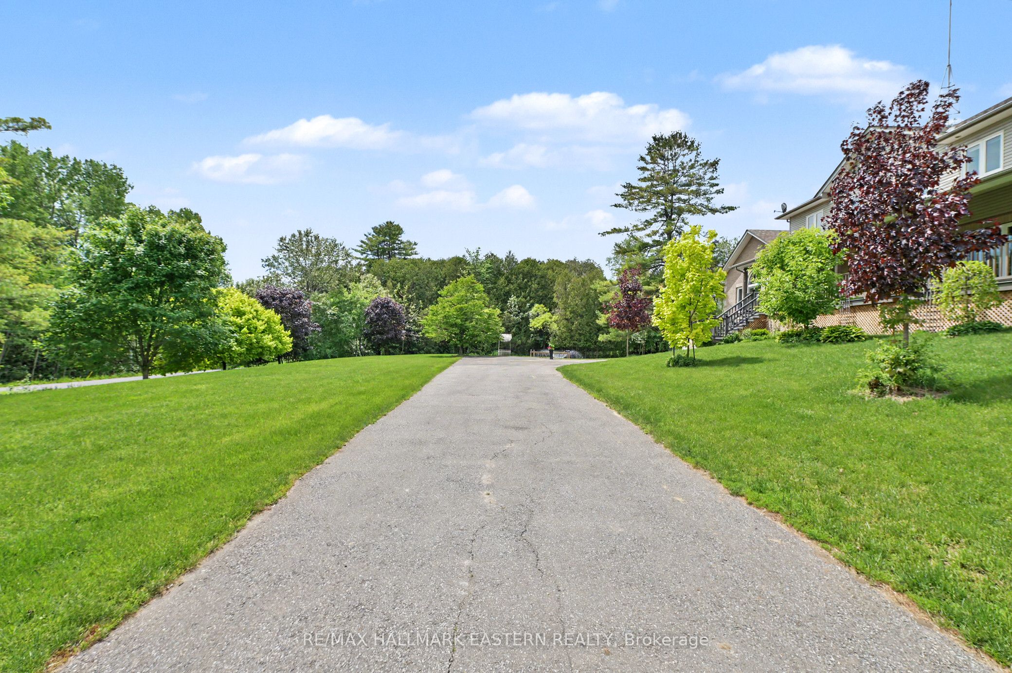 4038 Spring Road, Hamilton Township, ON L1A 3V6 photo 3