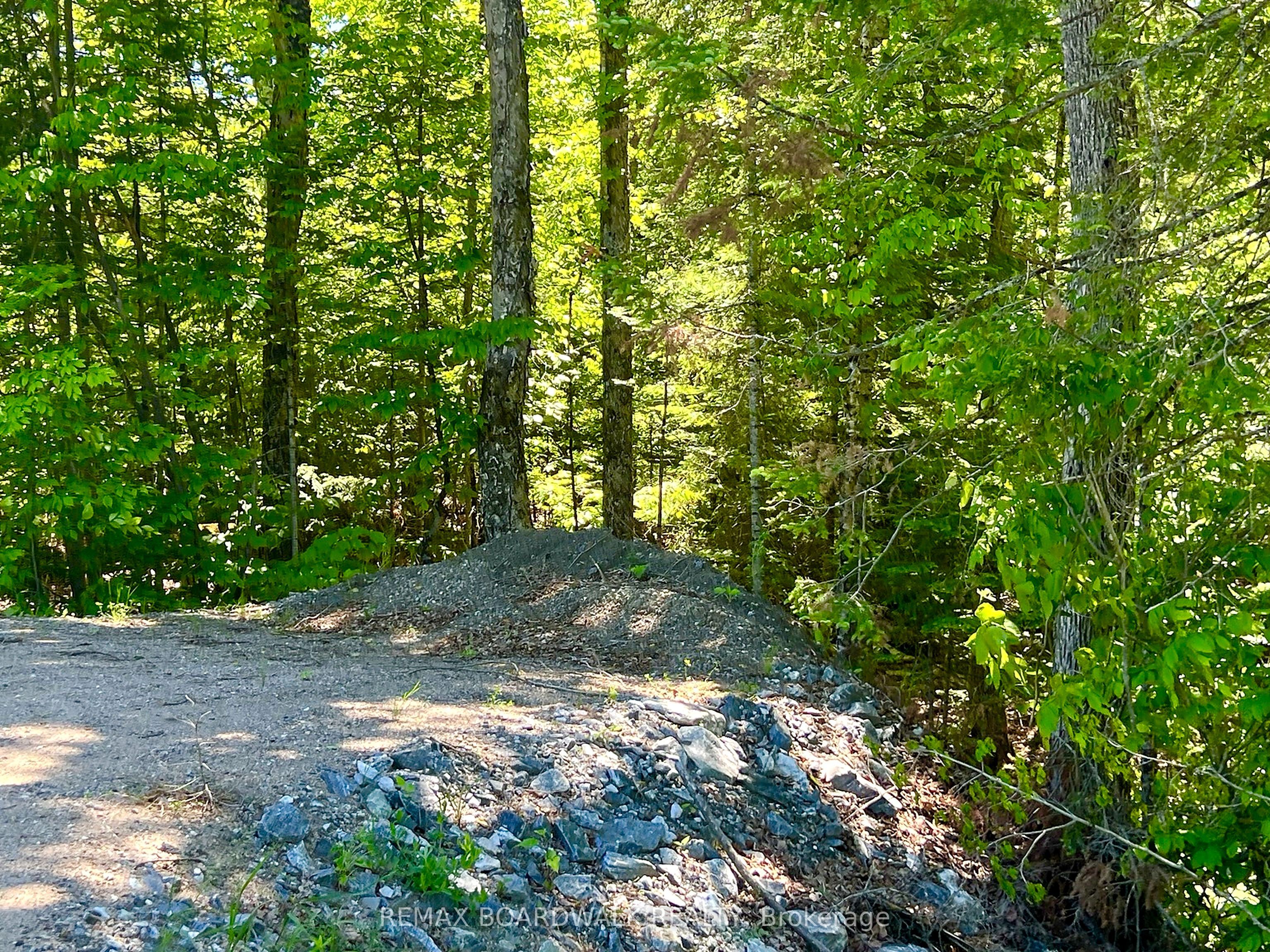 00 Buckshot Lake Road, Addington Highlands, ON K0H 1K0 photo 2