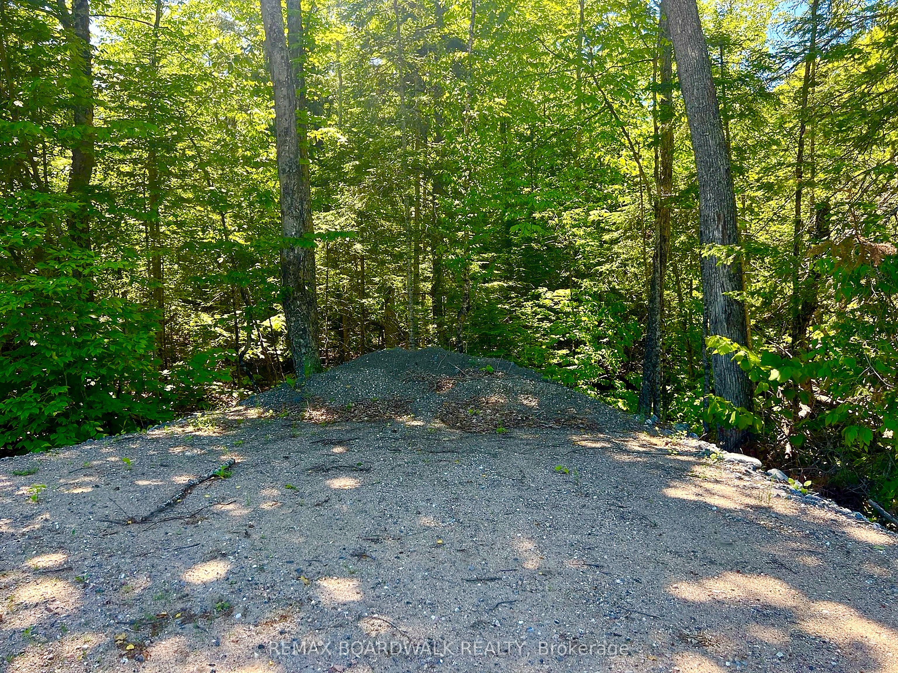 00 Buckshot Lake Road, Addington Highlands, ON K0H 1K0 photo 3