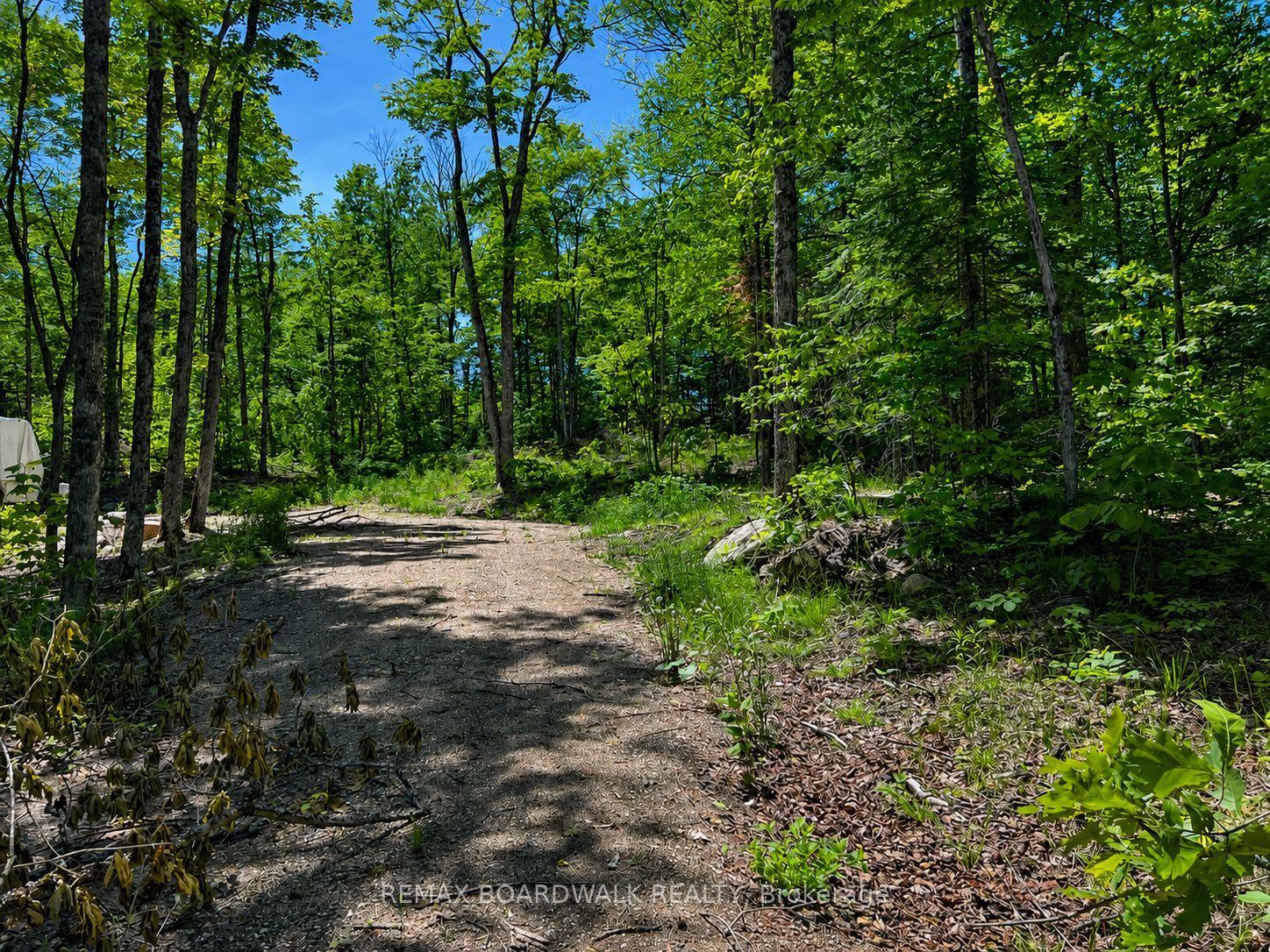 0 Buckshot Lake Road, Addington Highlands, ON K0H 1K0 photo 2